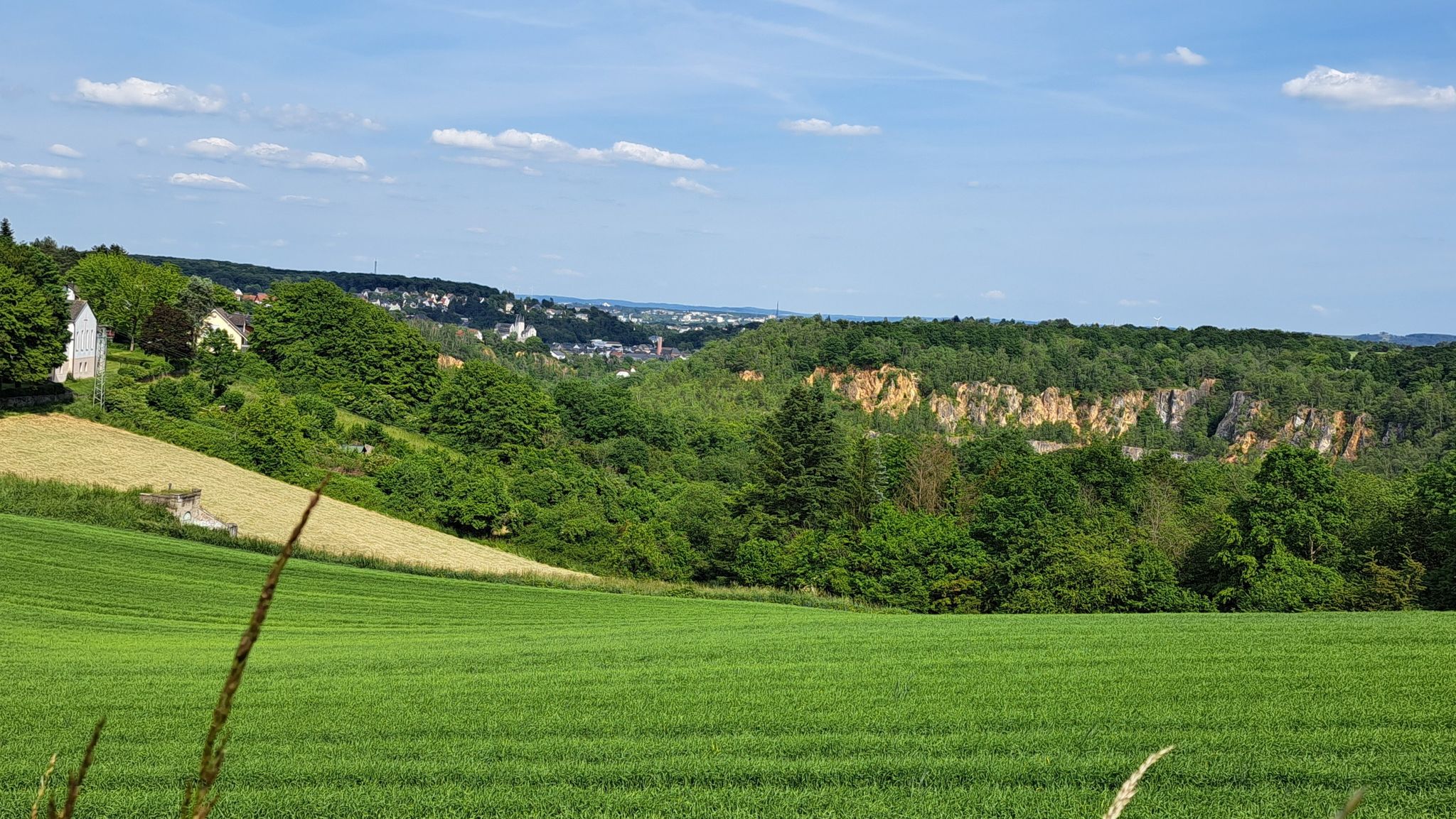 NSG Steinbruch Fachingen