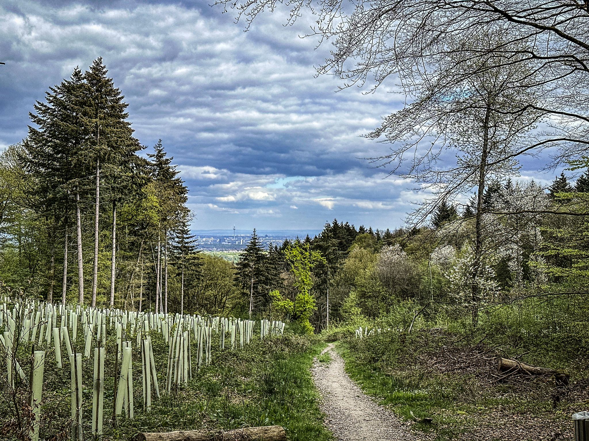 Trail zum Gimbacher Hof