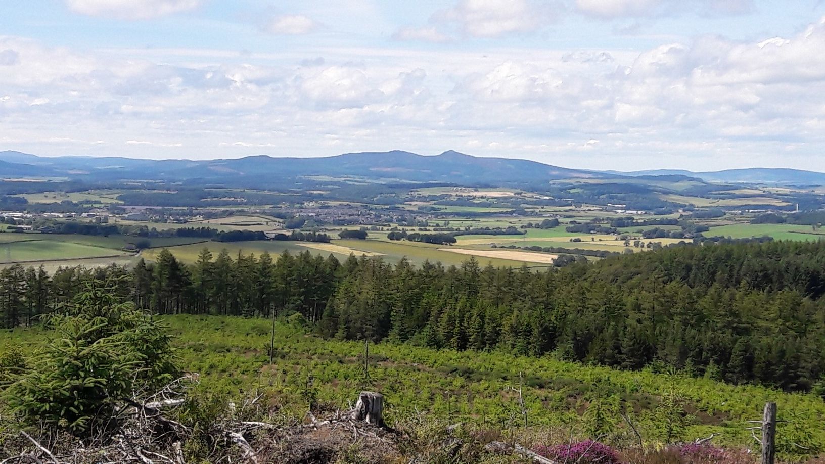 Bennachie from Hill of Marcus