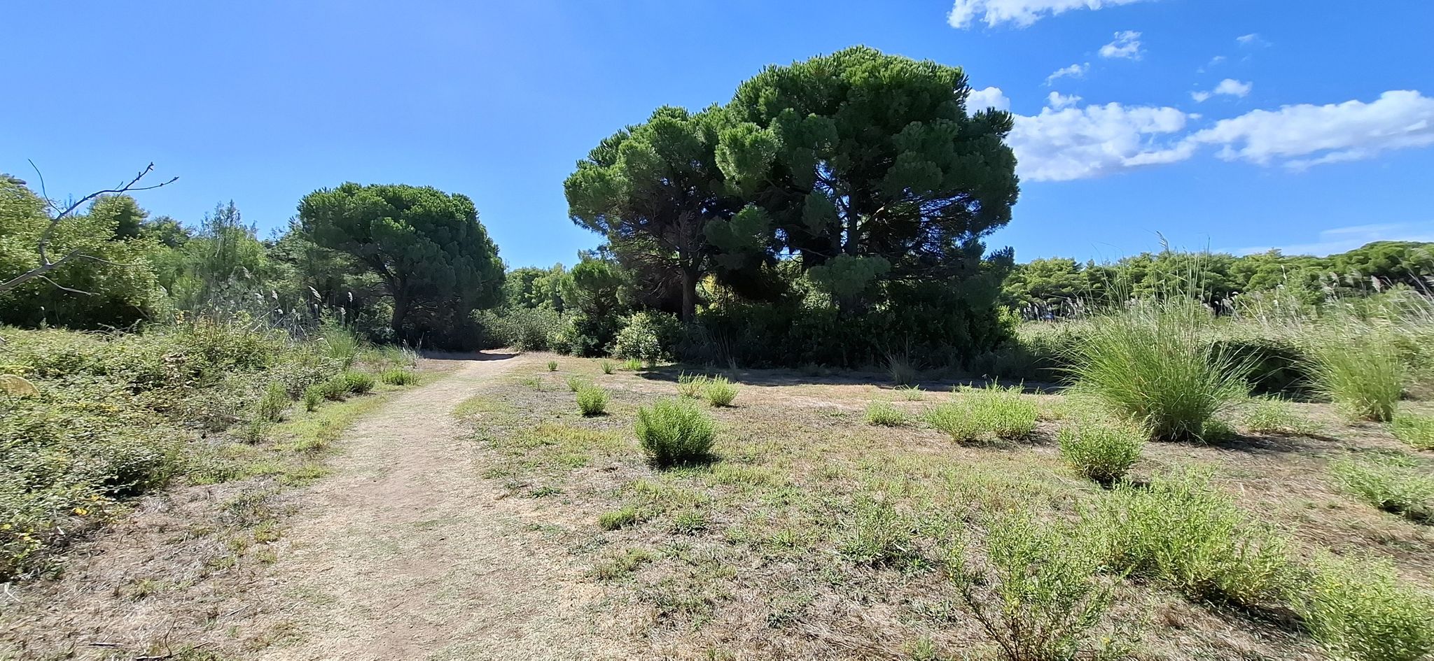 Tolle Landschaft mit toller Flora