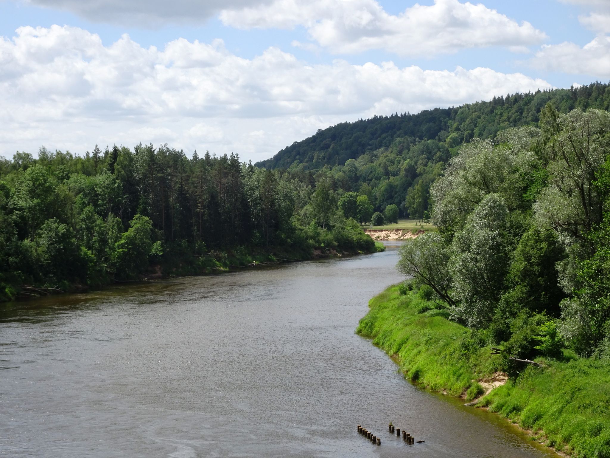 Gauja