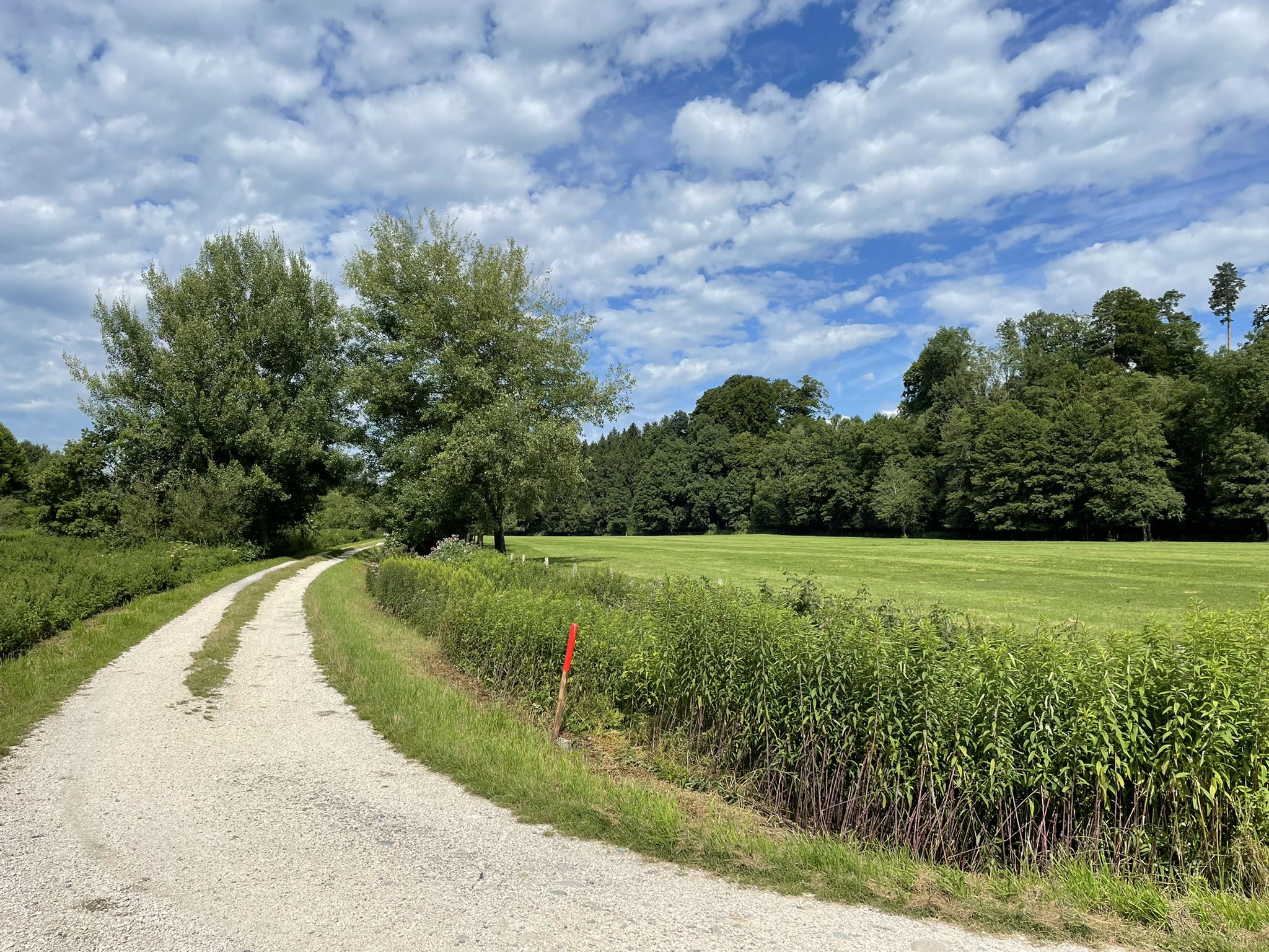 Diesem Radweg folgte ich