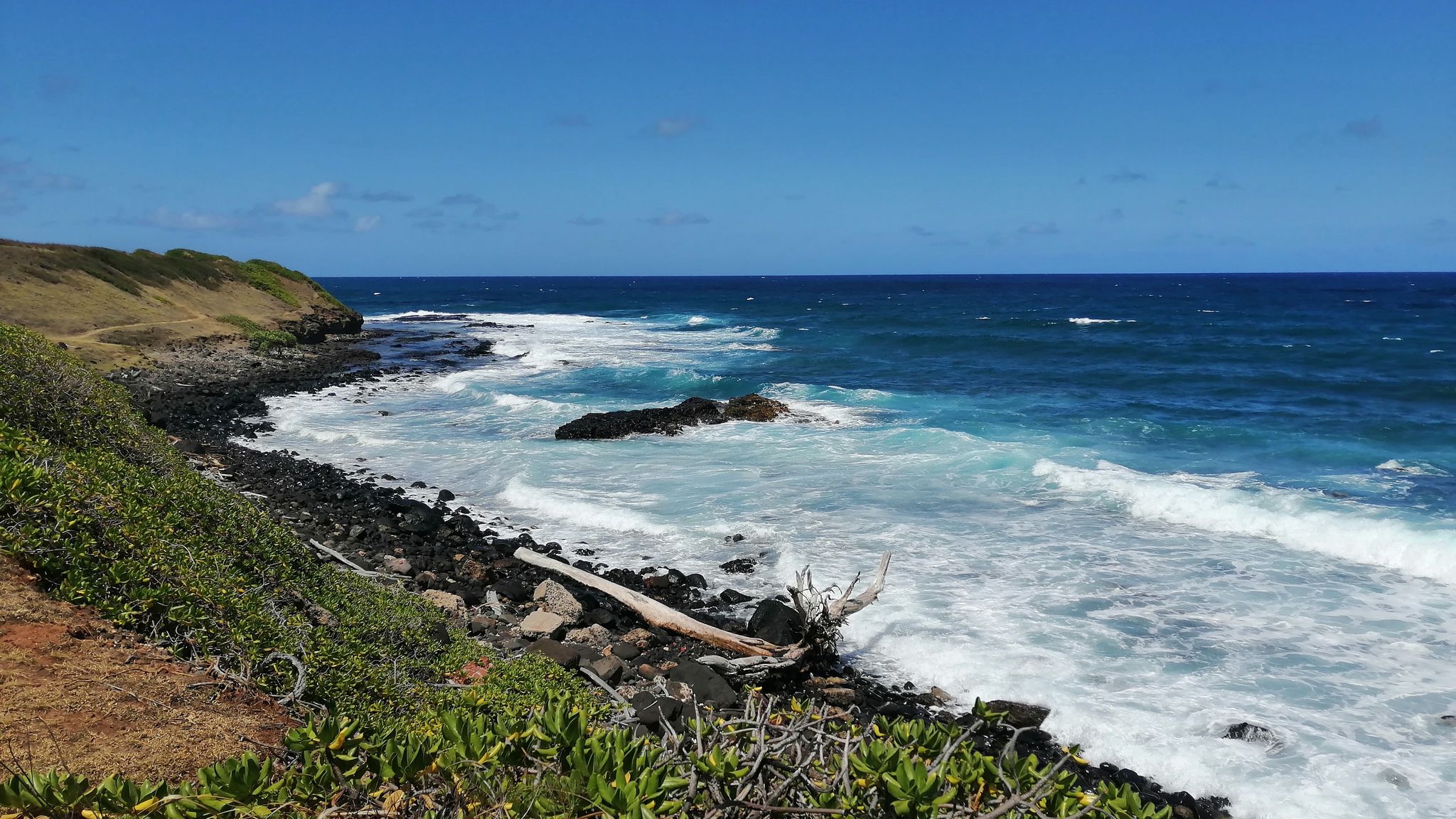Rocky coastline with strong ocean waves and a large piece of driftwood. - Kapaa coastal path – Waipouli Beach Park loop from Kealia