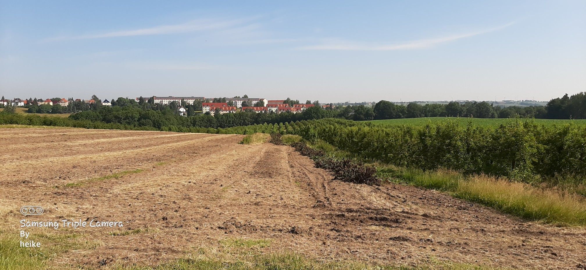 blick auf leisnig 