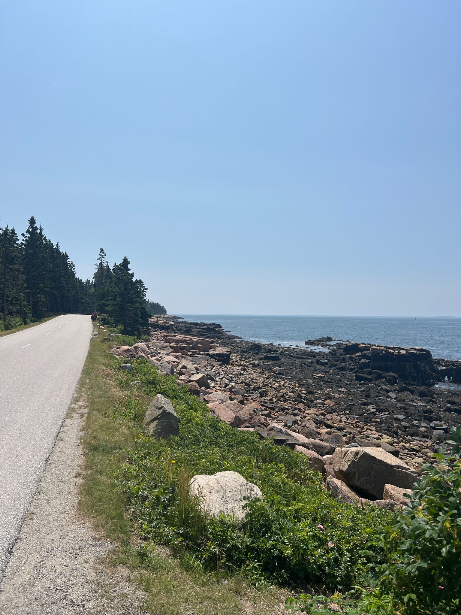 A paved road winds along a sunny, forested coastline with rocky shores. - Schoodic Loop Road
