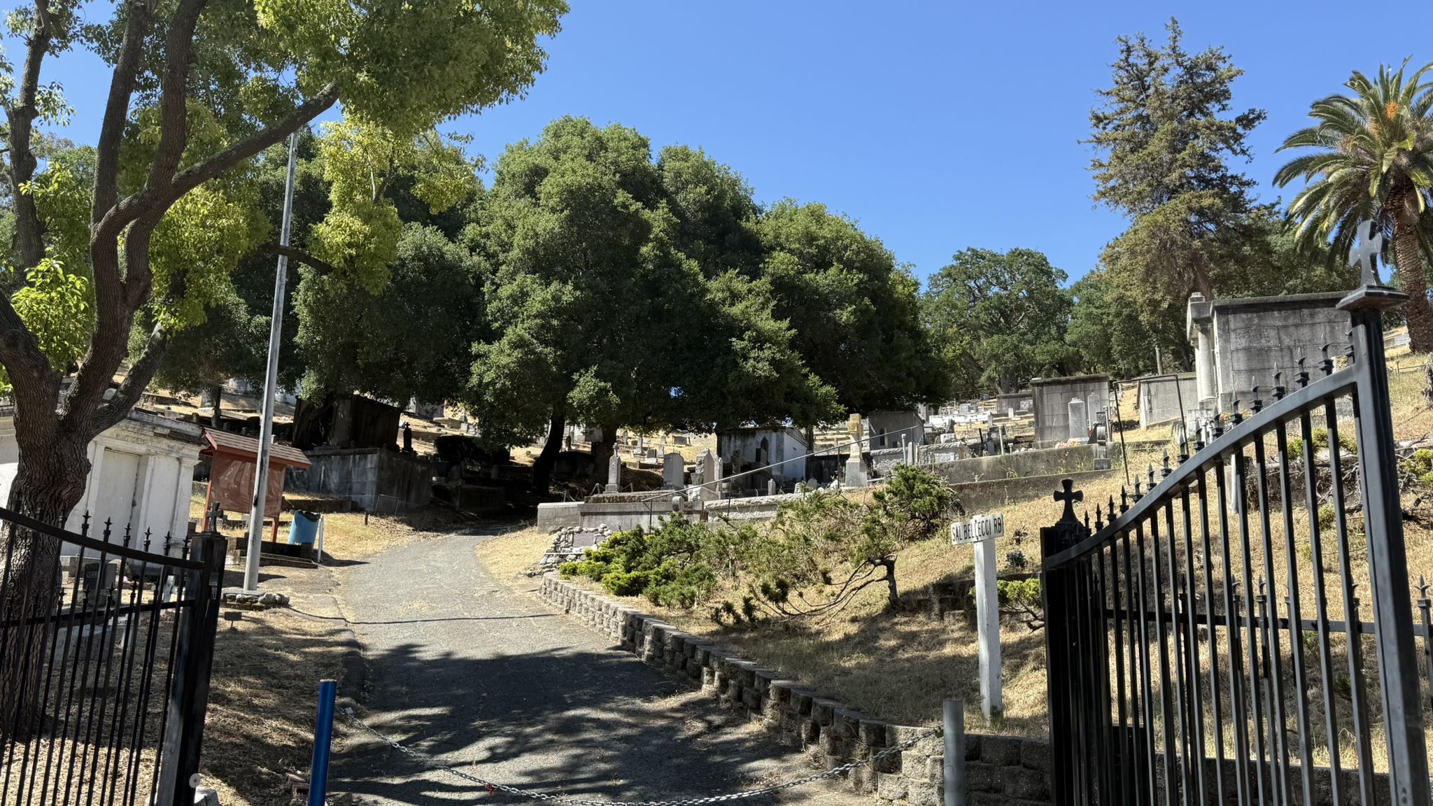 Sunny view into a cemetery with a paved path and many trees. - Bay Area Ridge Trail: Martinez City Streets
