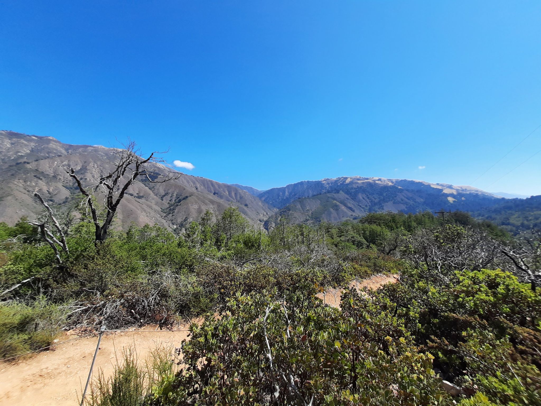 Dirt trail leads to forested hills and distant mountains under a clear sky. - Buzzards Roost Trail