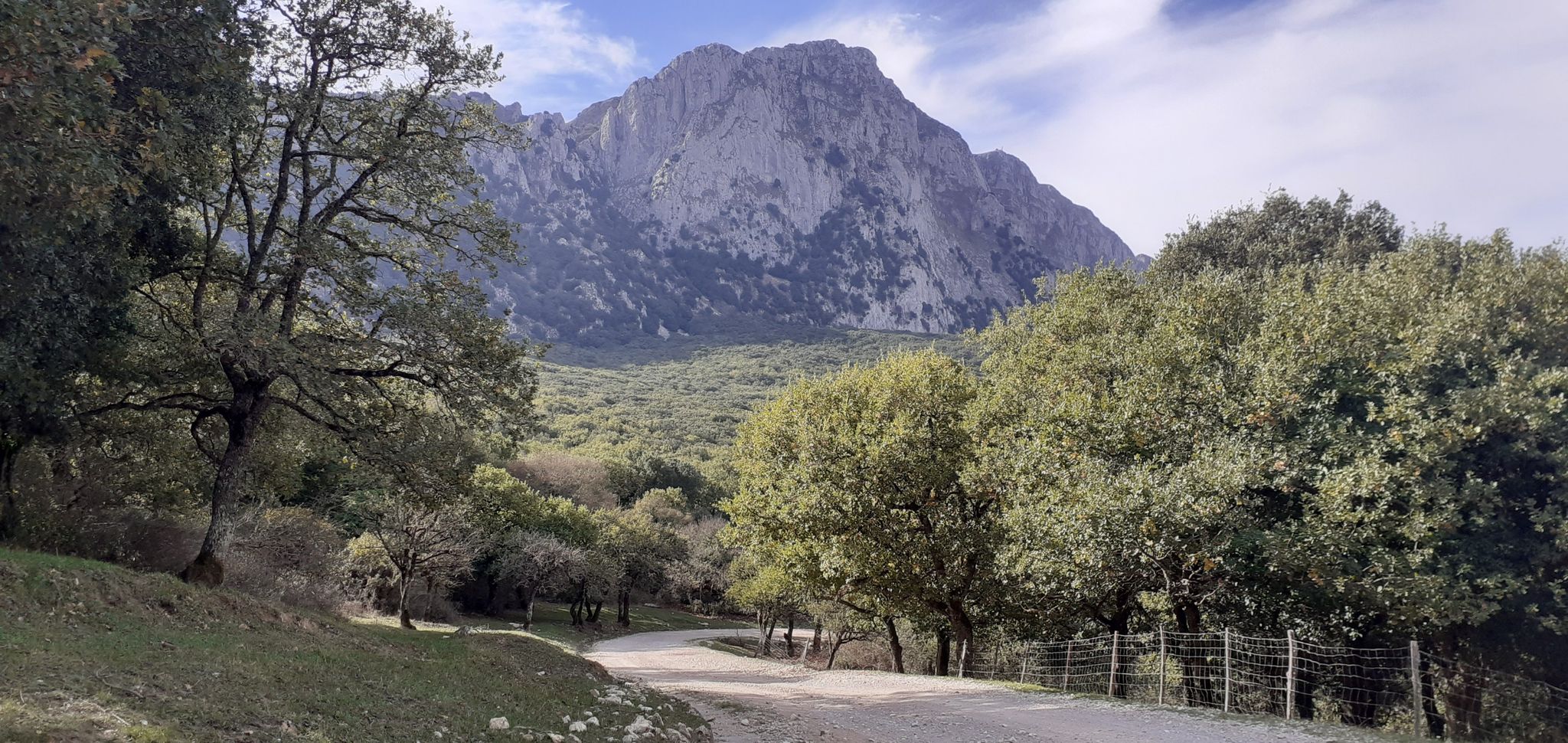 Rocca Busambra
