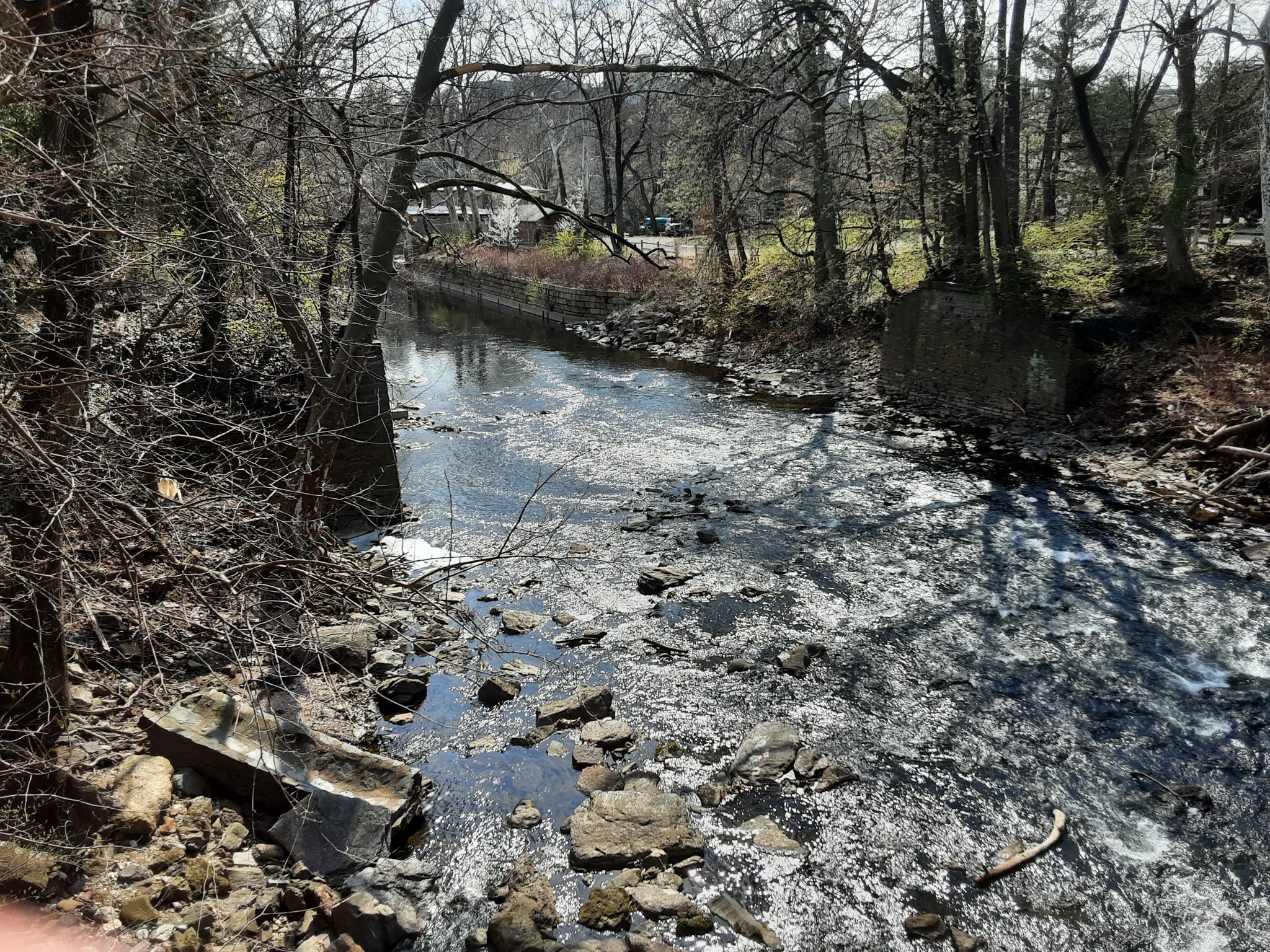Bright sunlight on a rocky stream surrounded by bare trees and wooded banks. - Falls Bridge – Schuylkill River Trail loop from Somerset