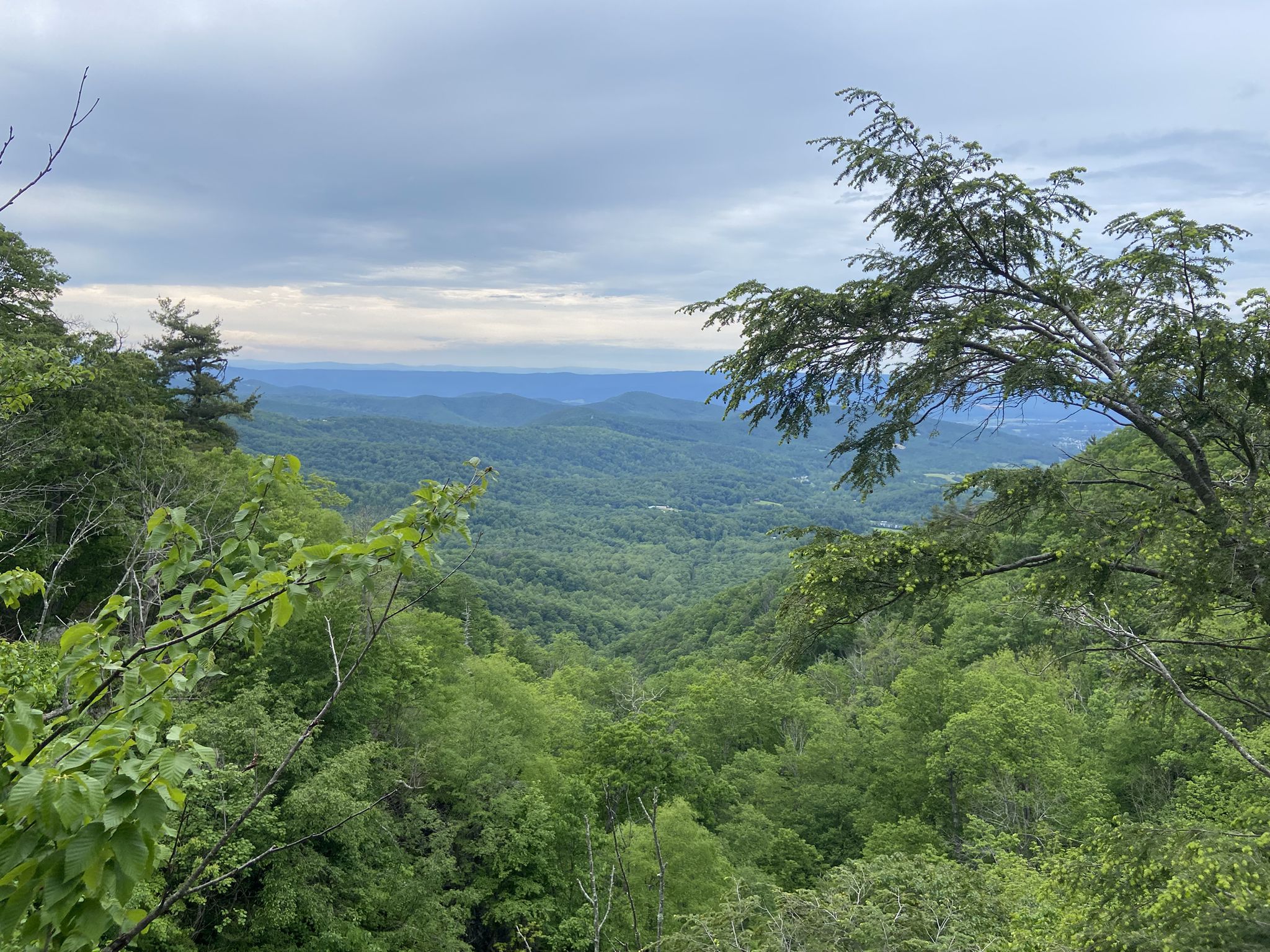 Expansive view of green forested mountains under an overcast sky. - Lewis Spring Falls Trail