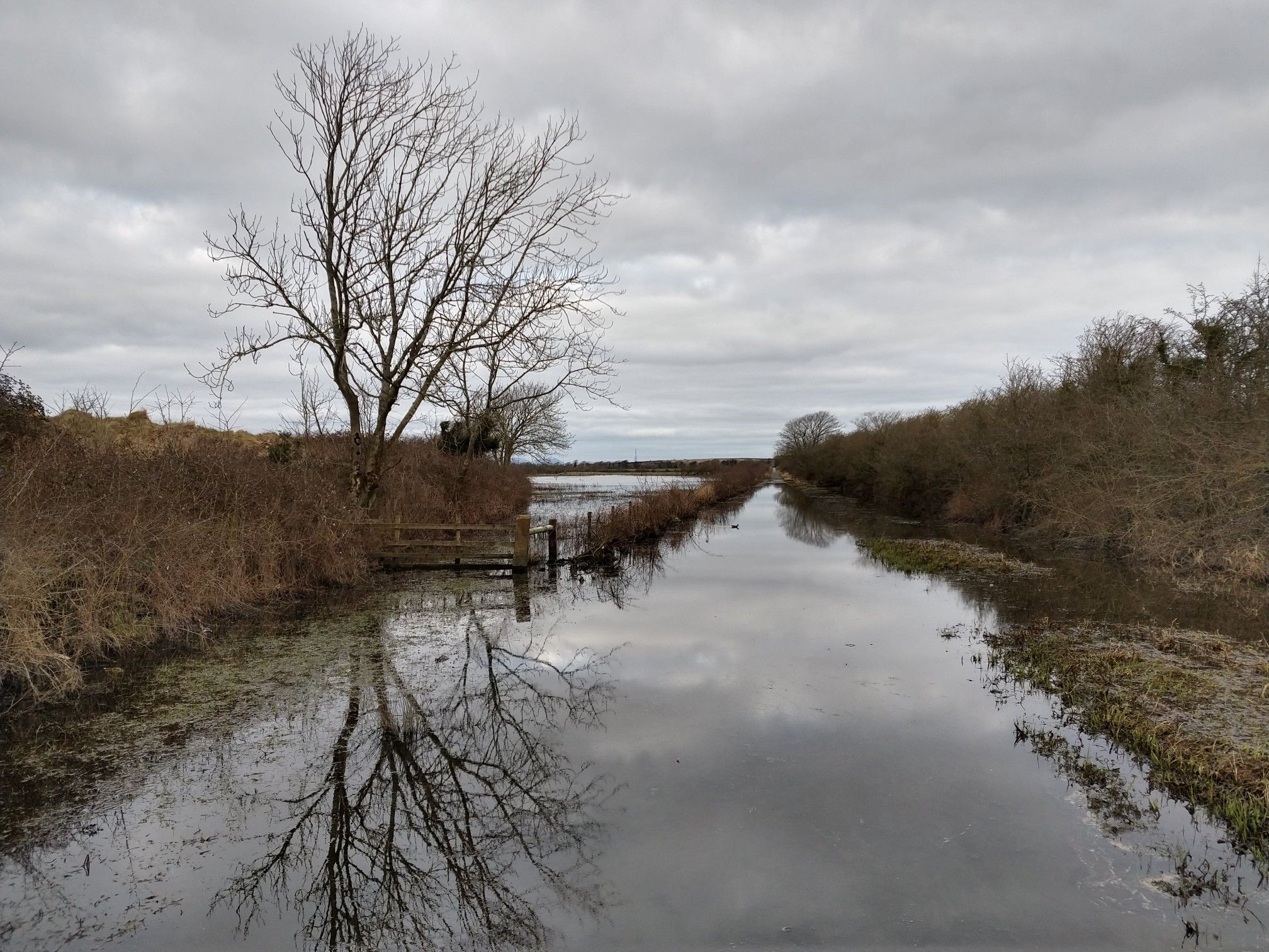 New Quay Road. Yep, R-o-a-d. Spot the duck in the distance. I forgot to bring swimming trunks so went back!