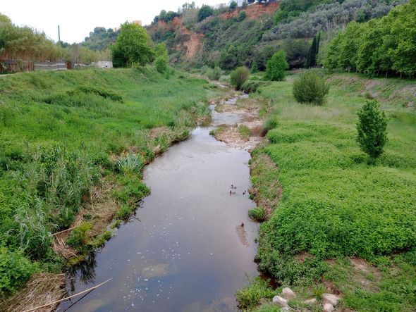 Ribera del río Ripoll y 