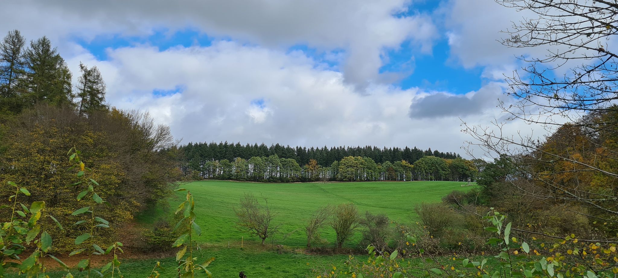 Wiesengrund Laubachstal