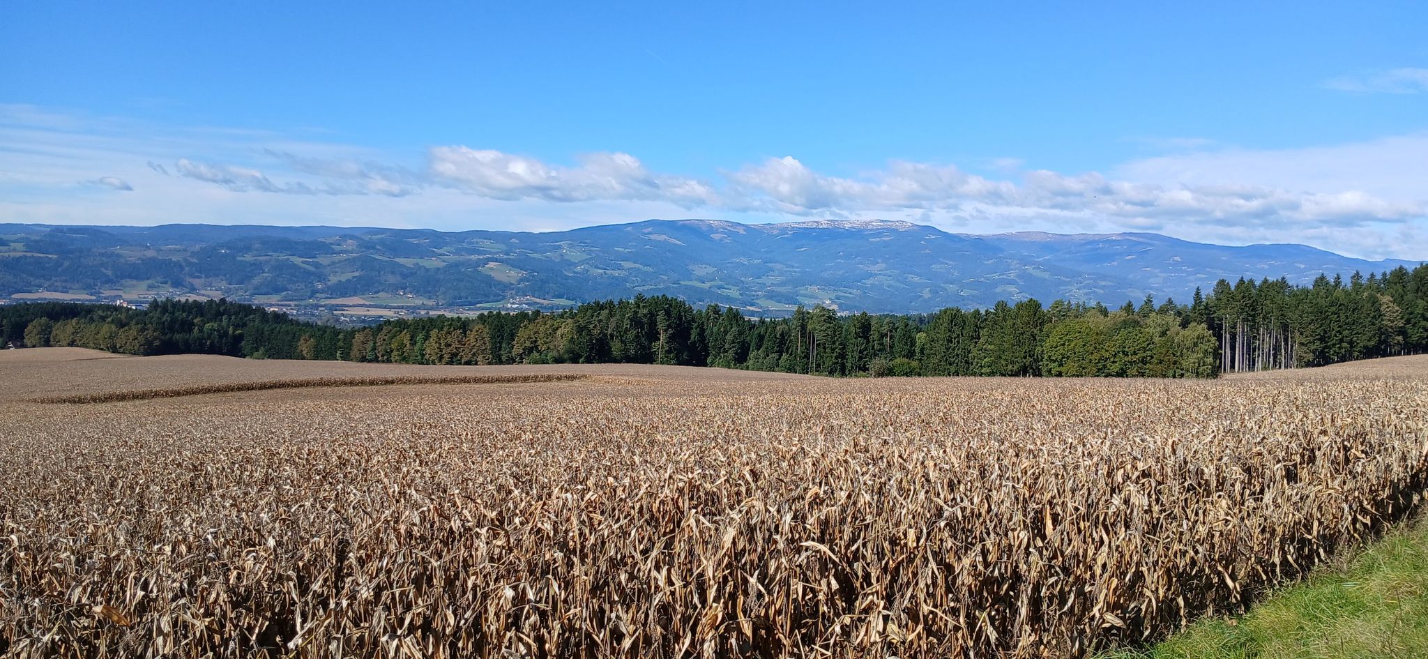 Saualpe