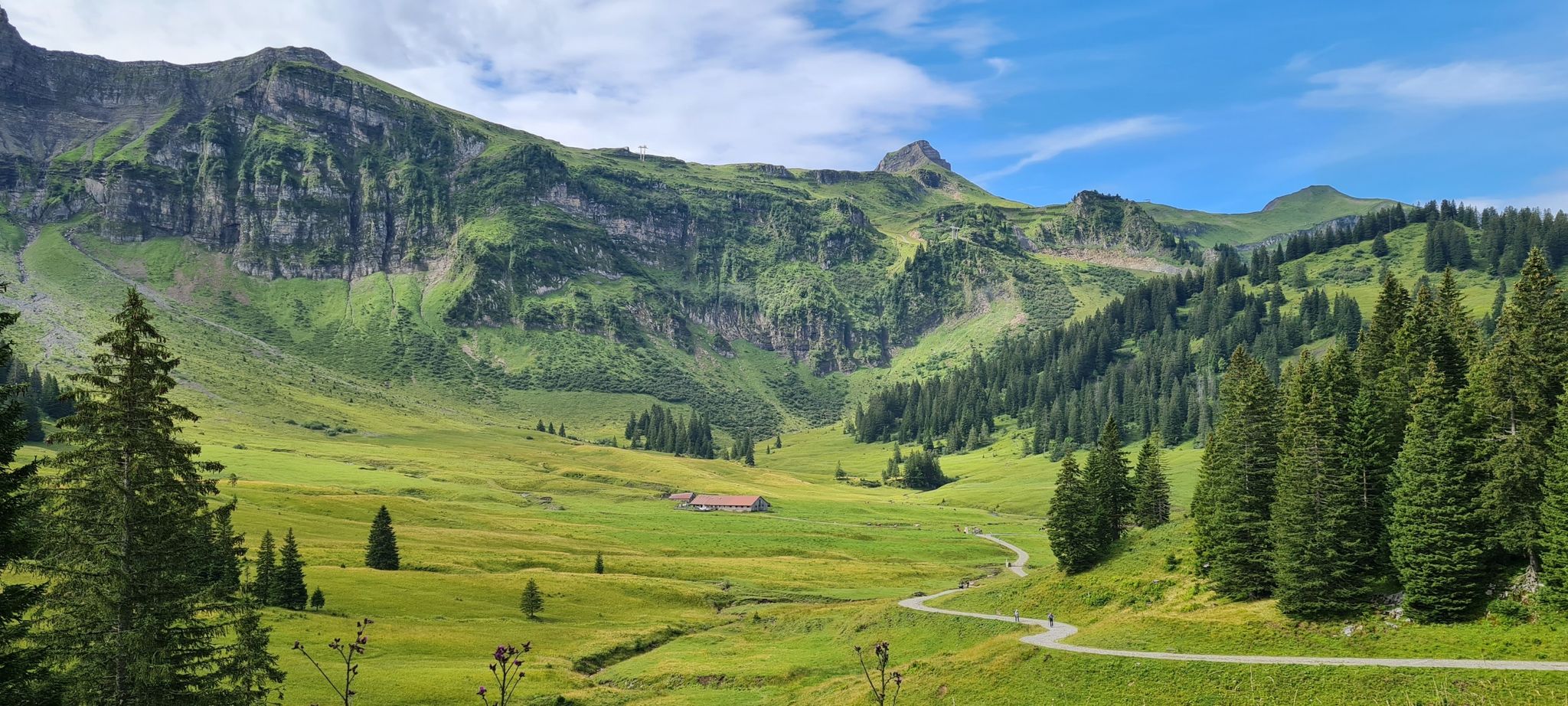 Kanisalp
