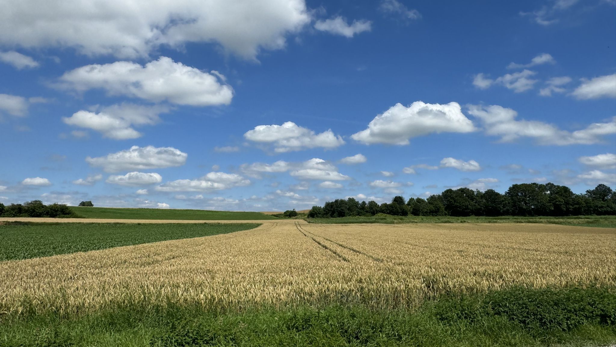 ... sondern friedlich frei schwebend am Himmel