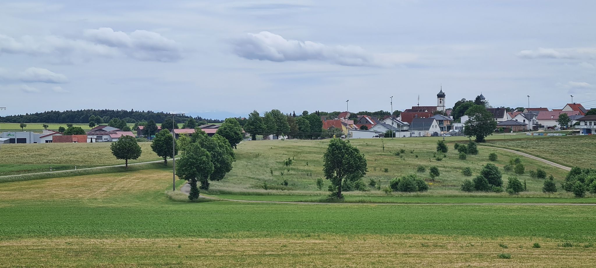 Buchheim