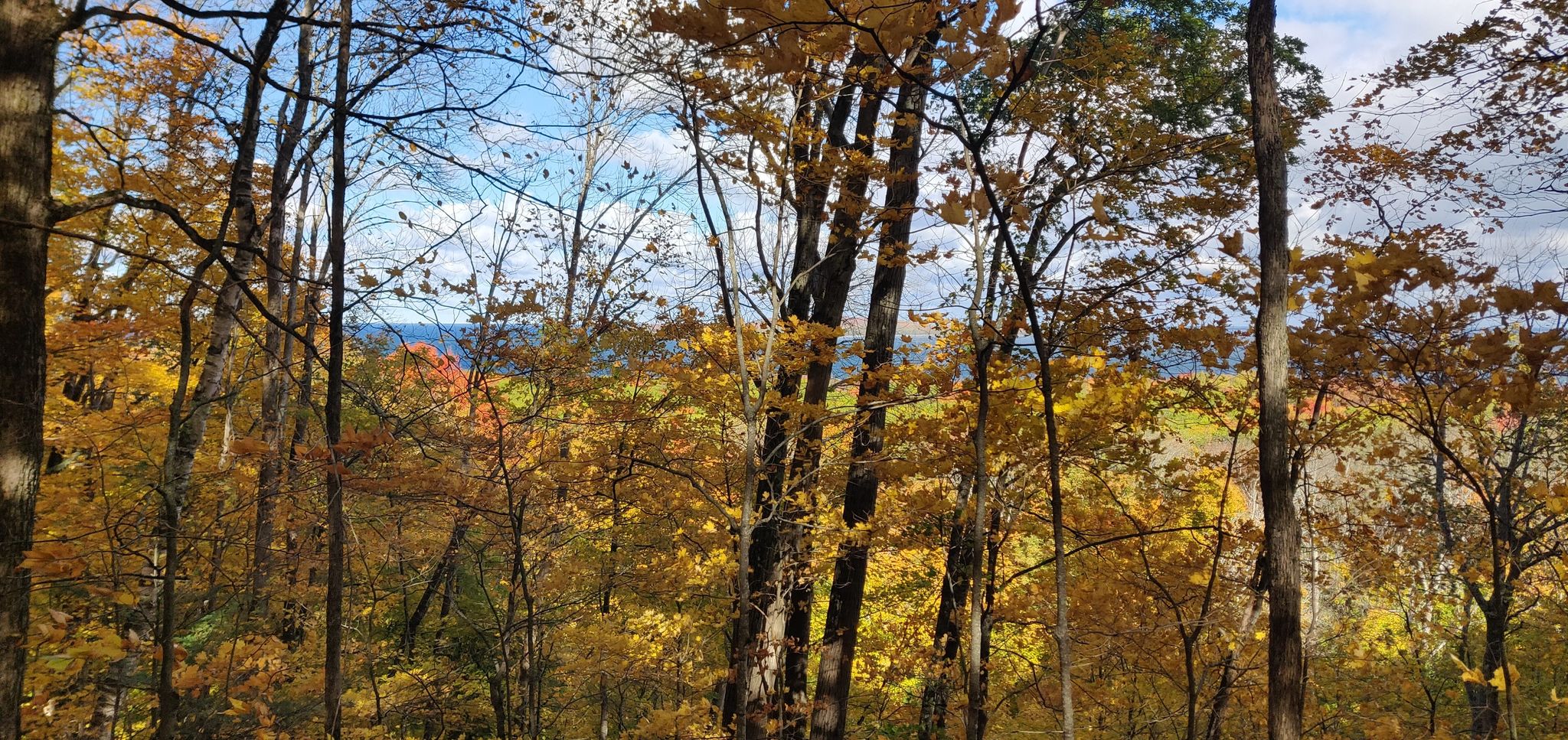 Awenda park