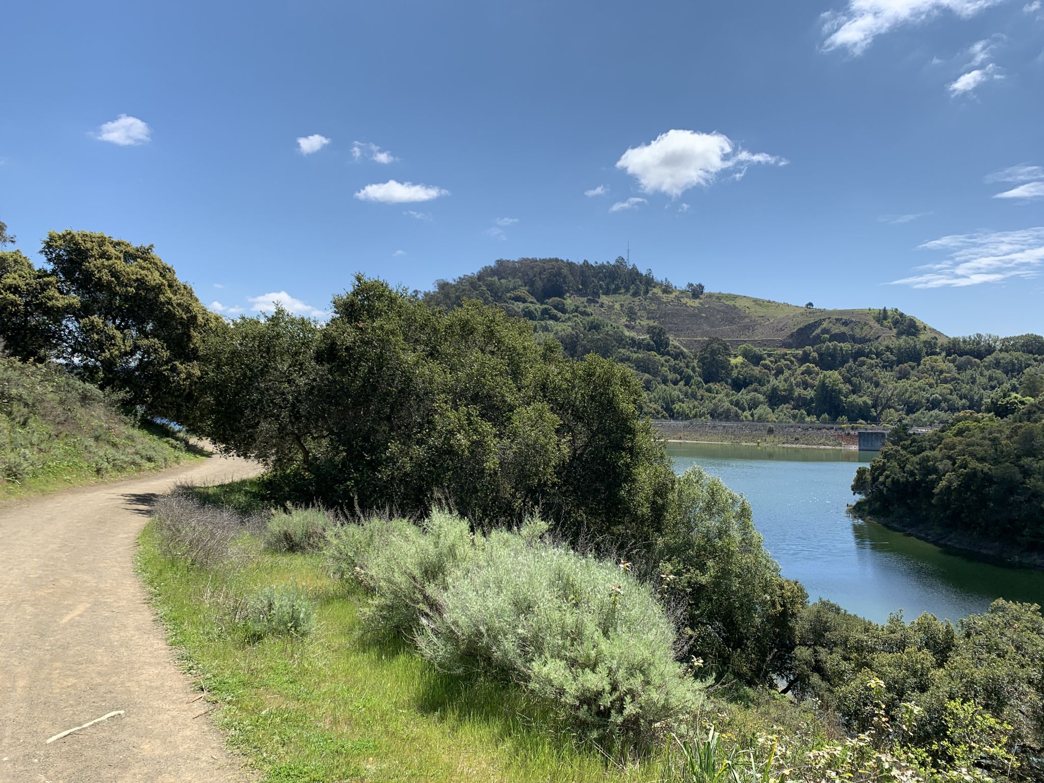 Sunny dirt path next to a blue lake, surrounded by green trees and hills. - MacDonald Trail Viewpoint – Lake Chabot Marina loop from Castro Valley