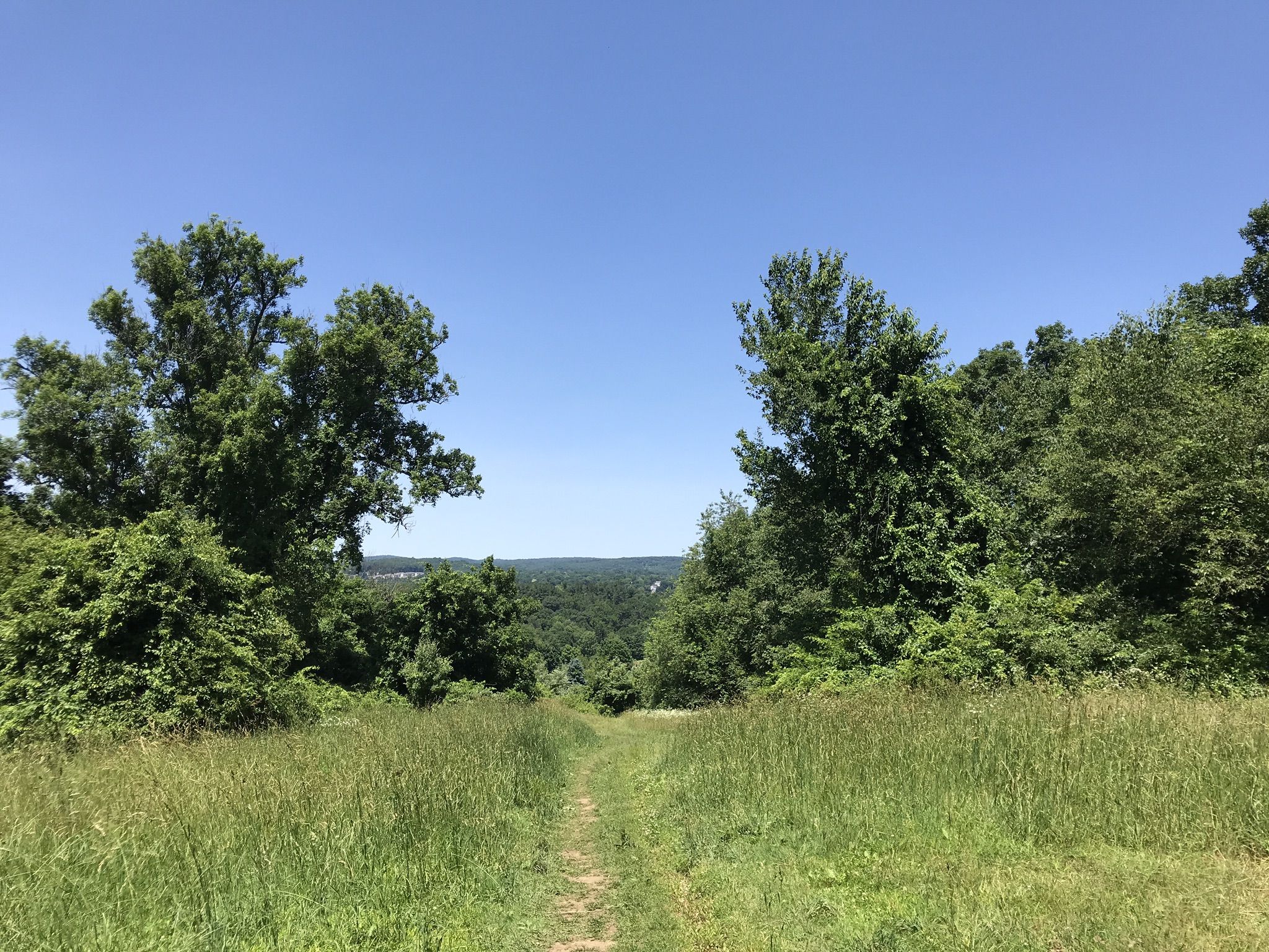 A narrow dirt path through tall grass, leading to a distant forested valley. - Blue and Parks Pond Loop