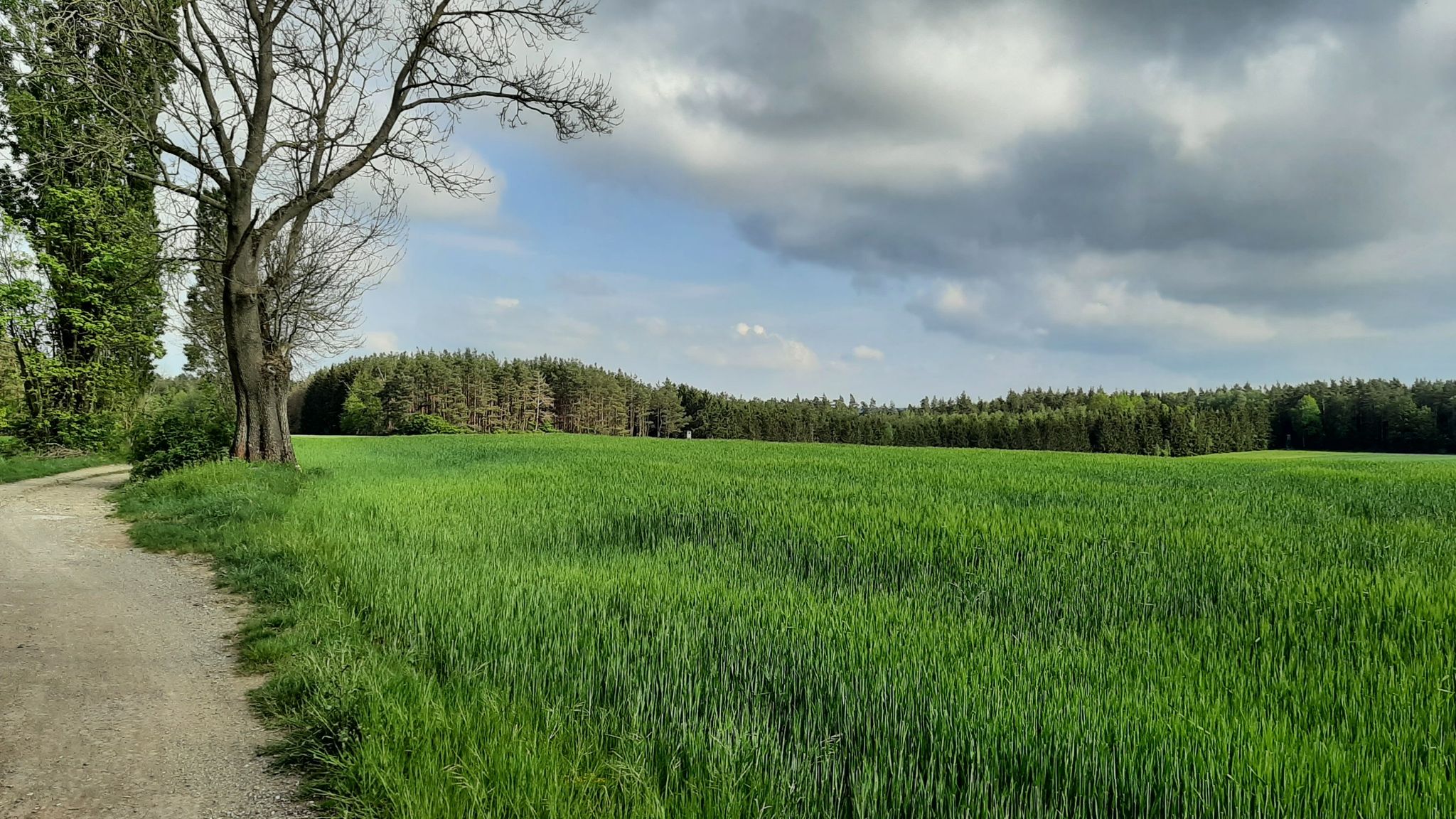 16:59