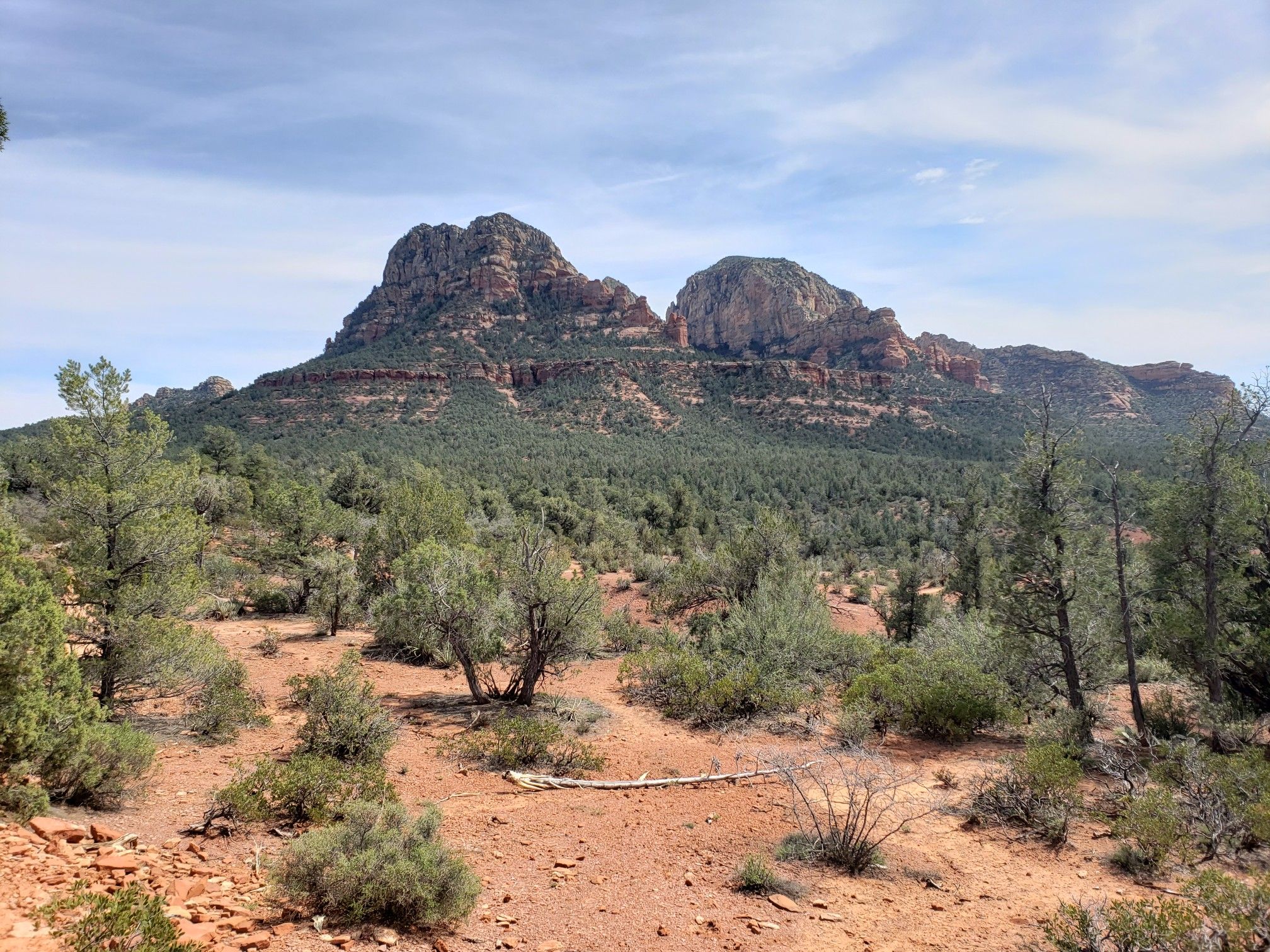 Large red rock formations rise above a green, scrubby desert landscape. - Chuckwagon, Mescal and Long Canyon Loop