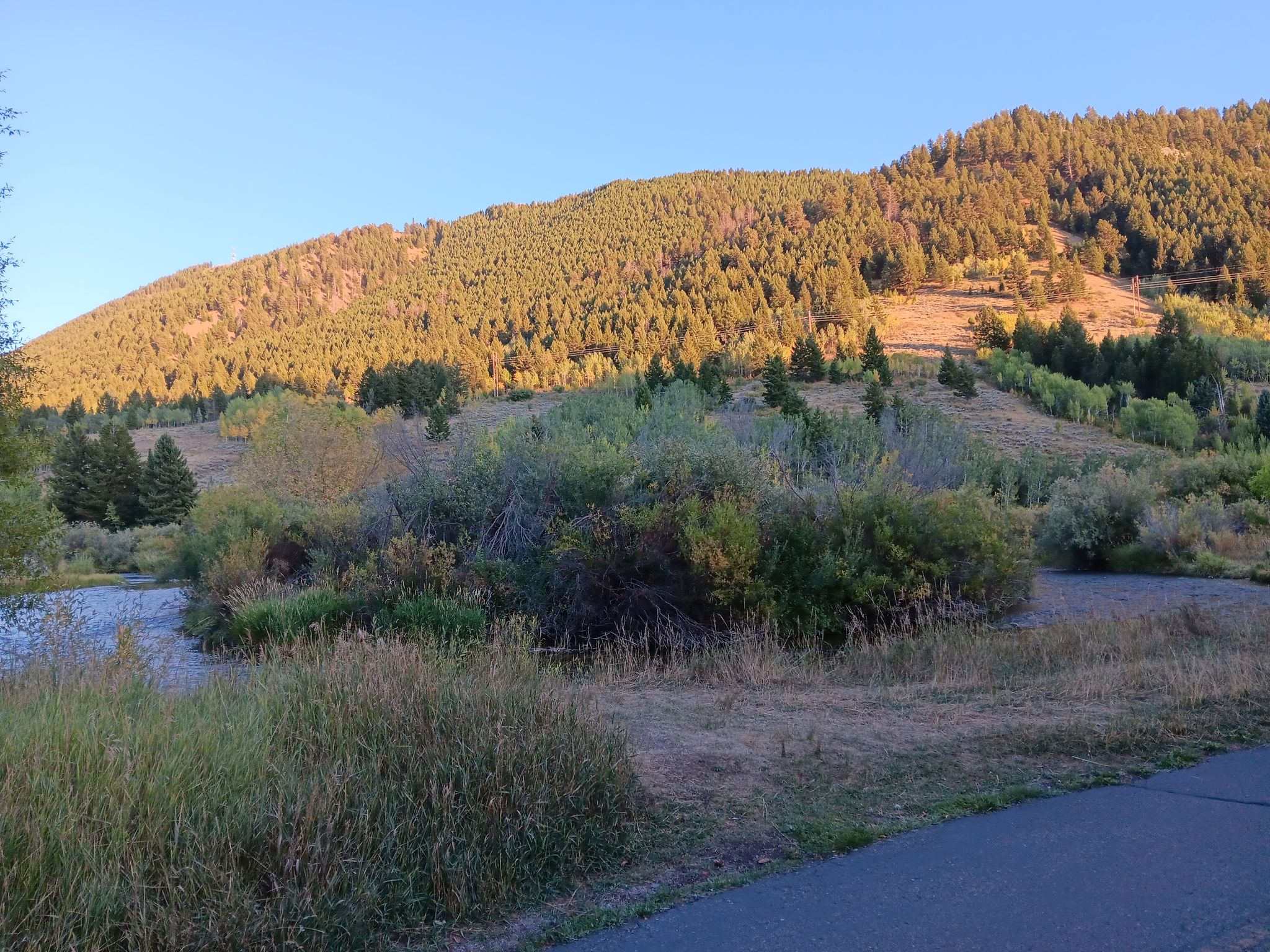 River and grassy banks with a sunlit, forested hill under a clear sky. - Russ Garaman Pathway
