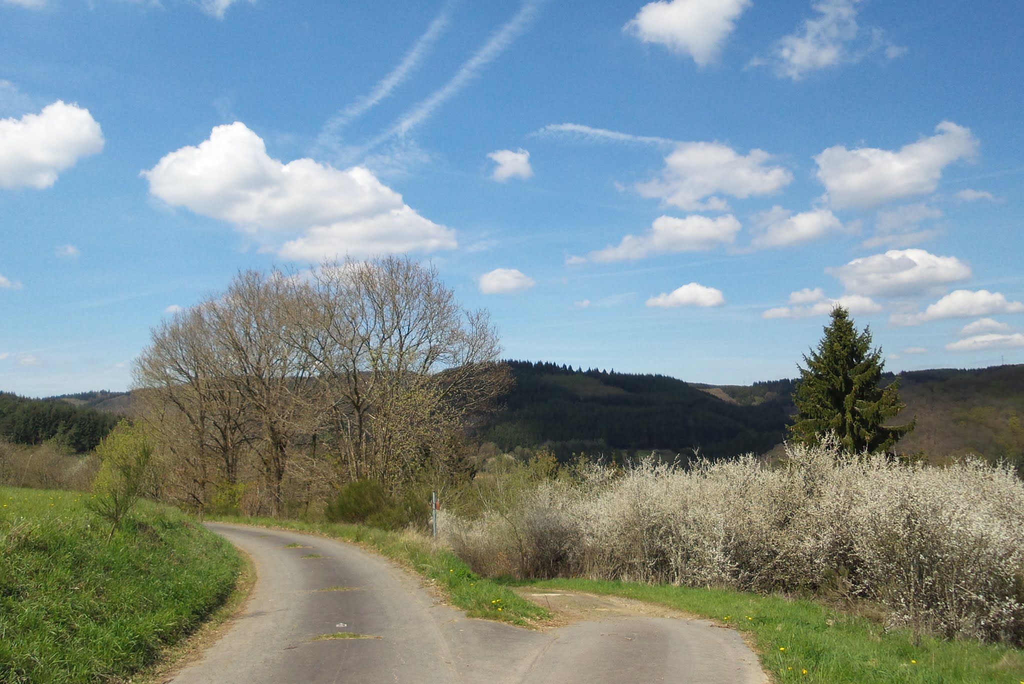 iwo zwischen Welschenbach und Acht