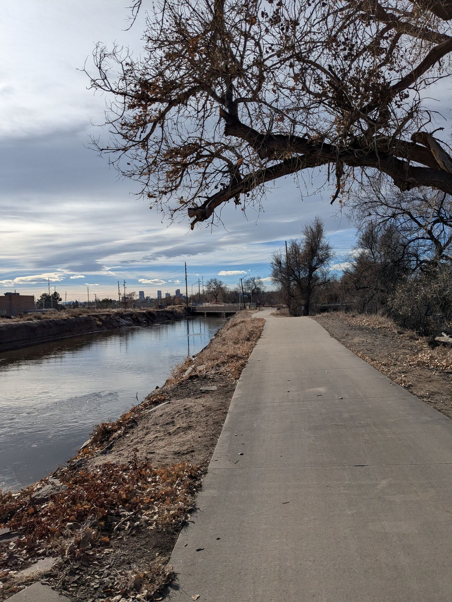 Paved path alongside a calm river with bare trees under a cloudy sky. - Denver Orbital Trail - Segment 20