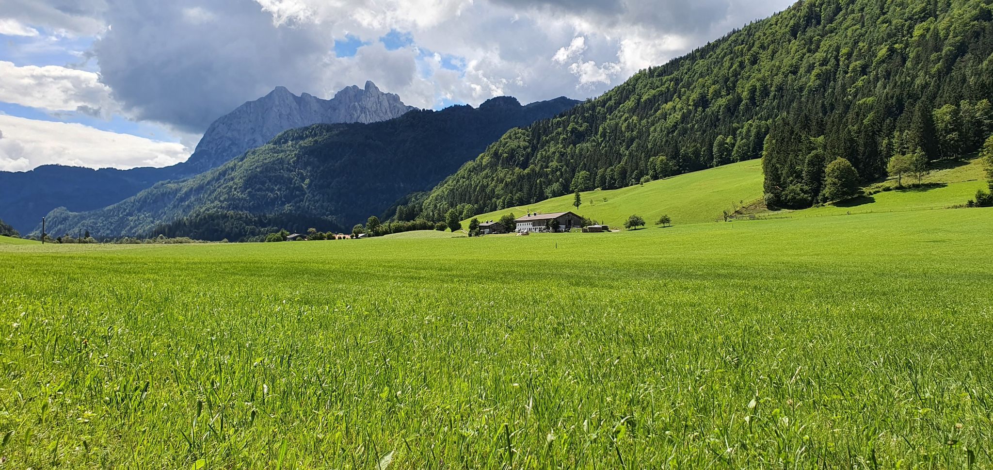Wilder Kaiser