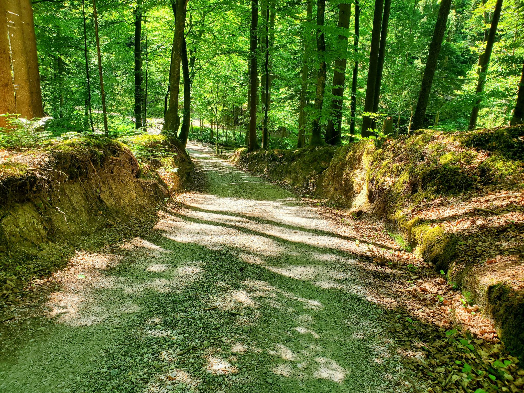 Pfundiger Hohlweg runter nach Perach