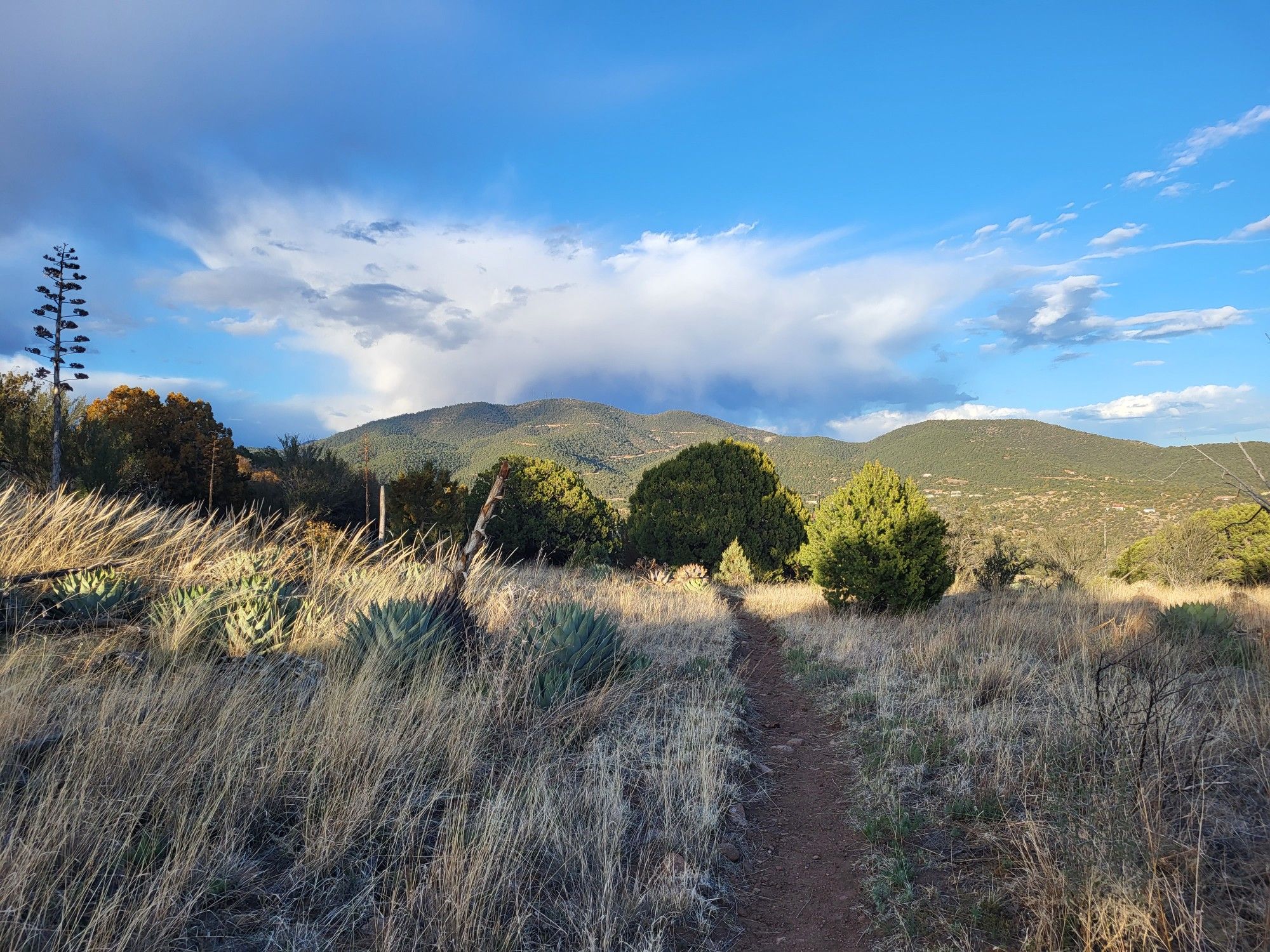 A dirt path through dry grass leads to distant mountains under a partly cloudy sky. - Gomez Peak via Angel and Pinon Loop