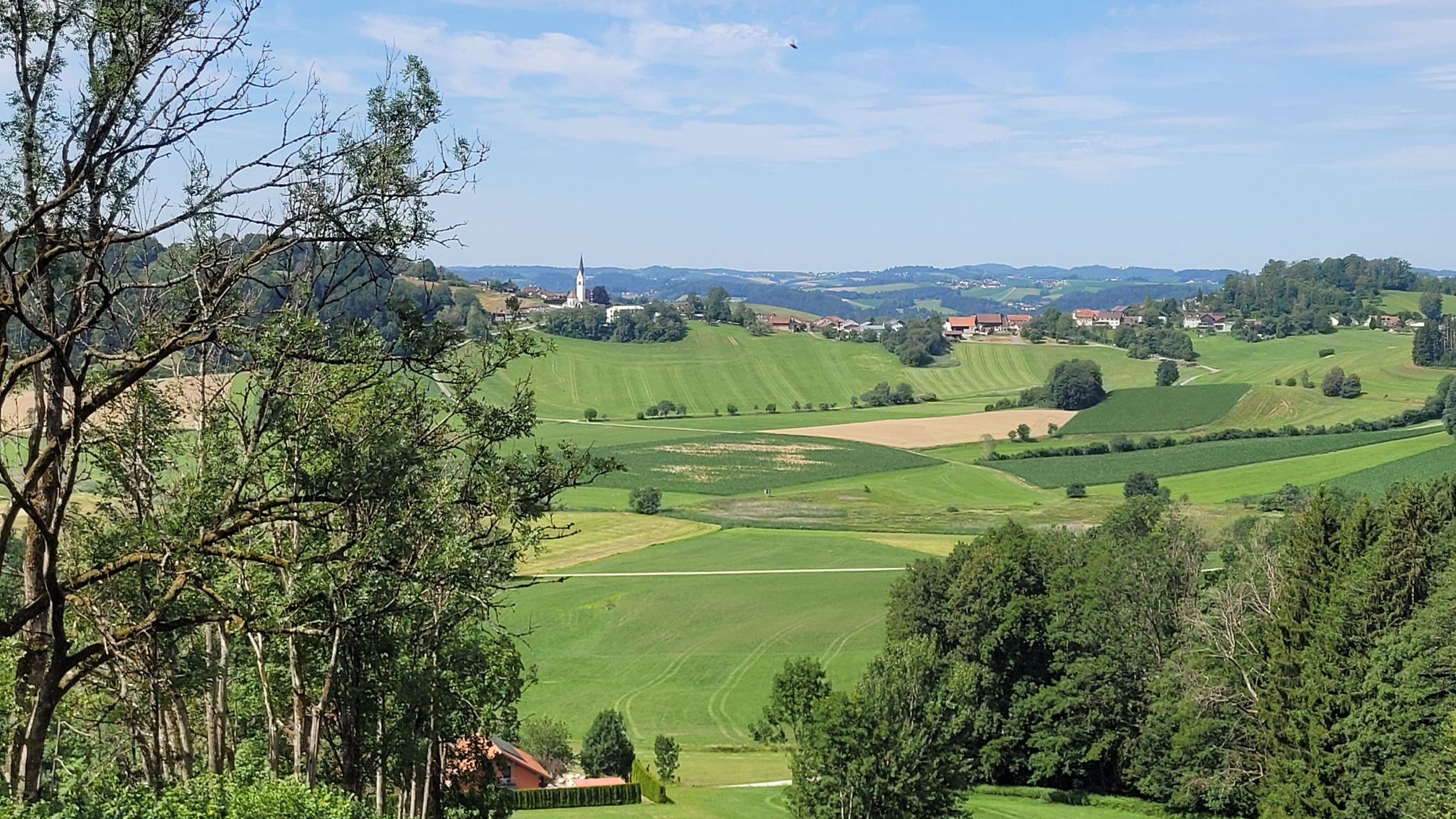 Blick auf Kumreut