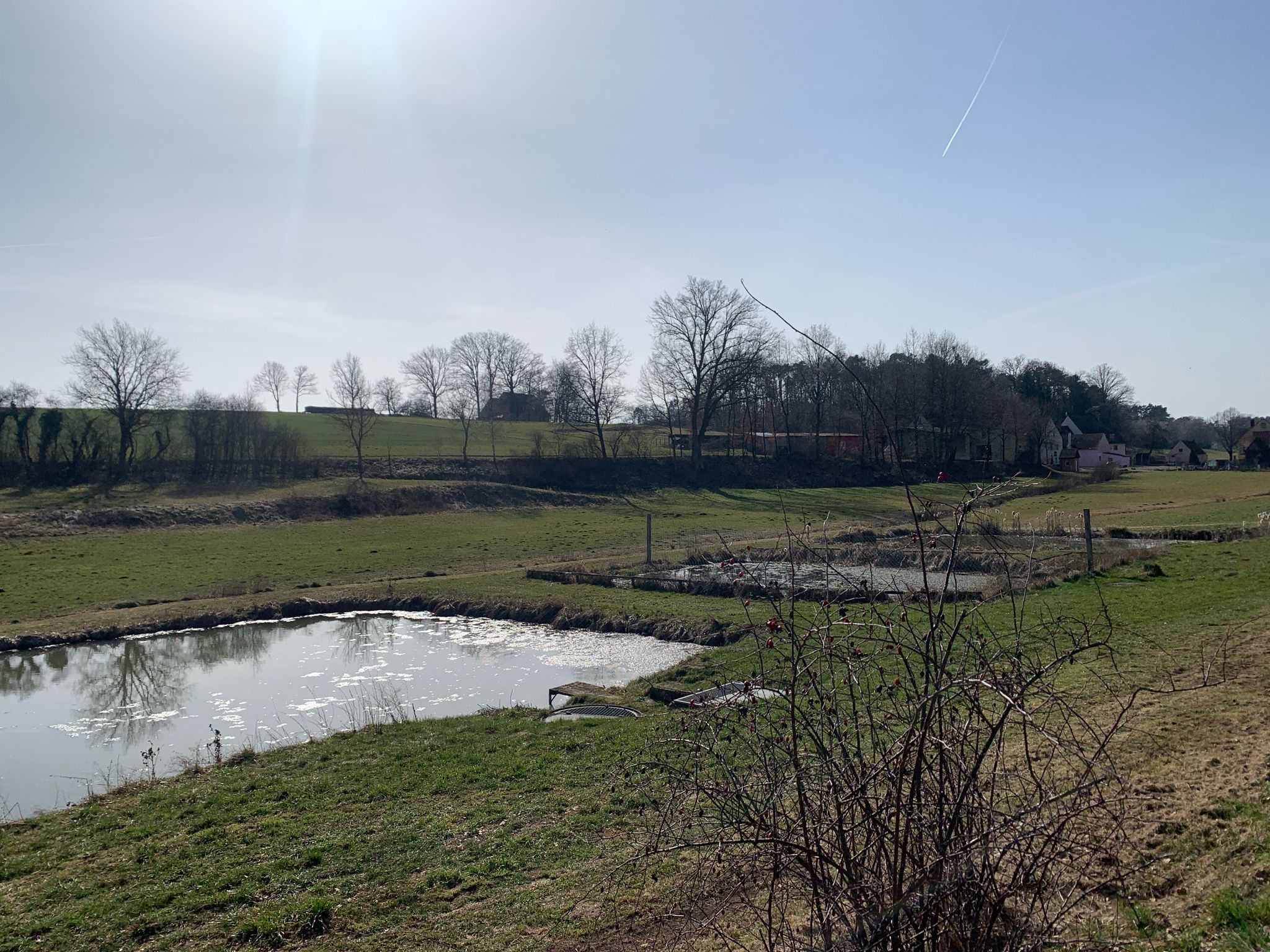 Weiherlandschaft