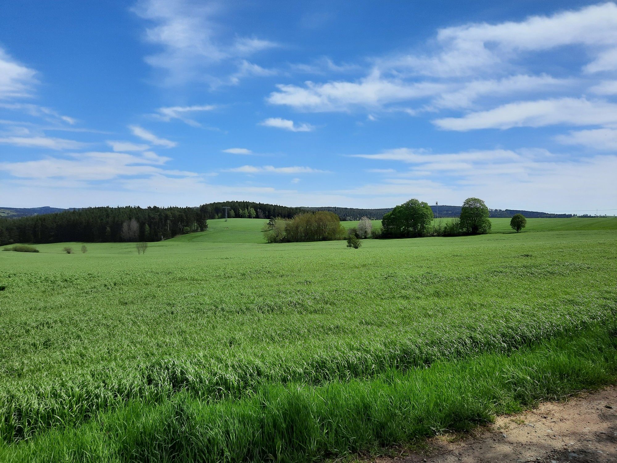 staudenwiese 2