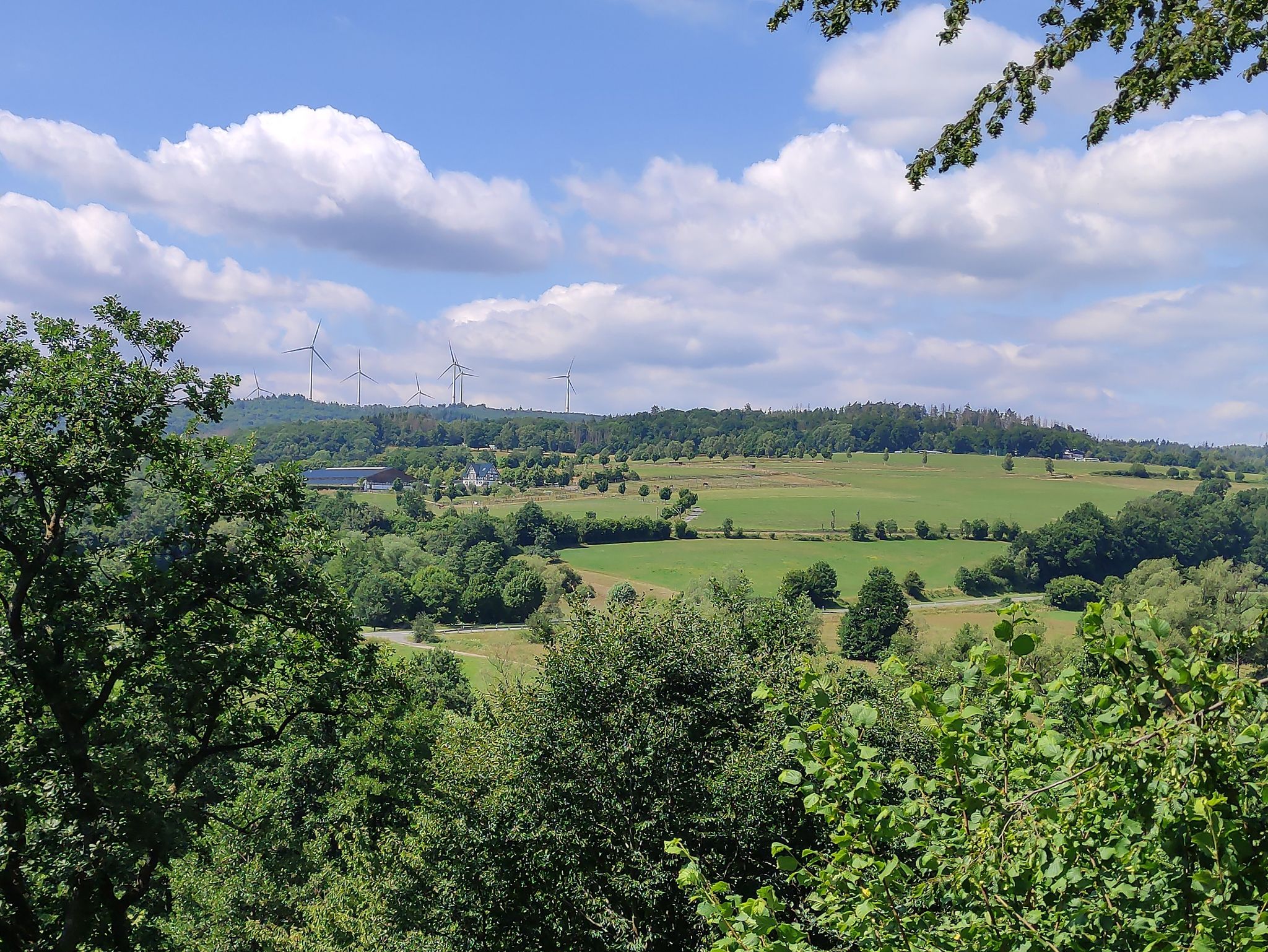 Straße zwischen Haigiund Rodenbach
