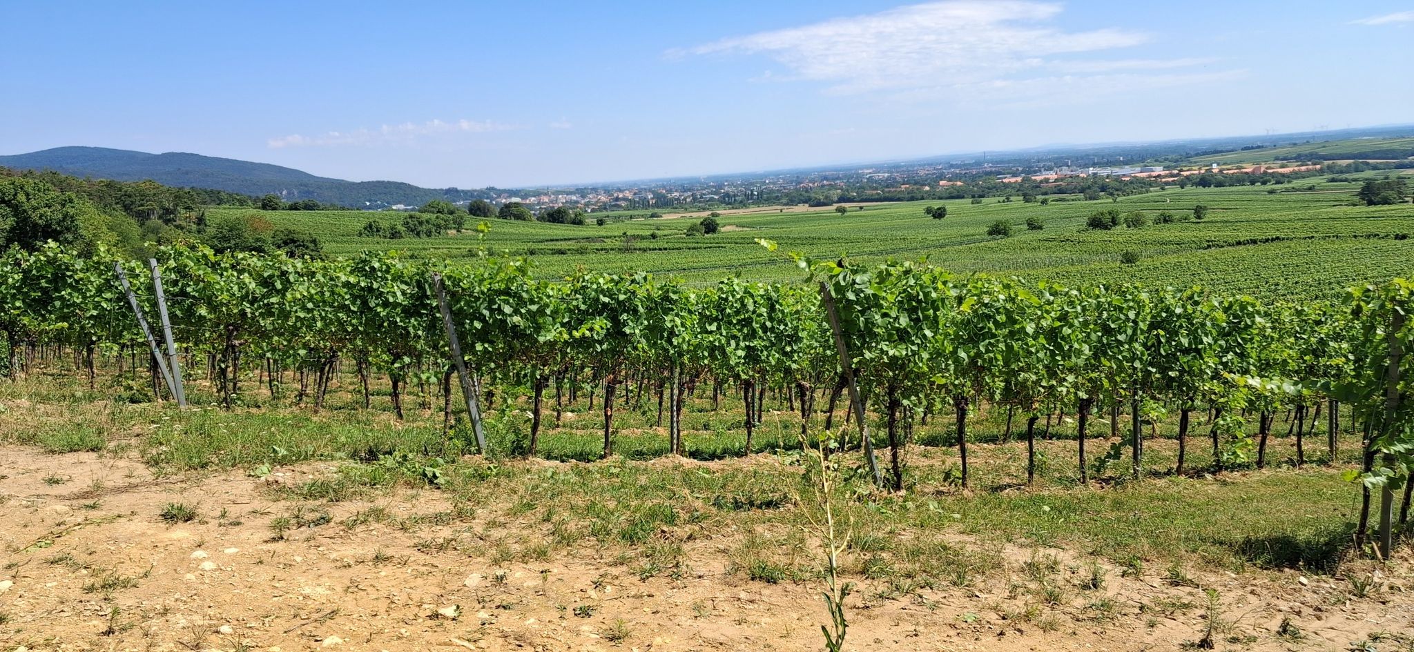 Blick Baden