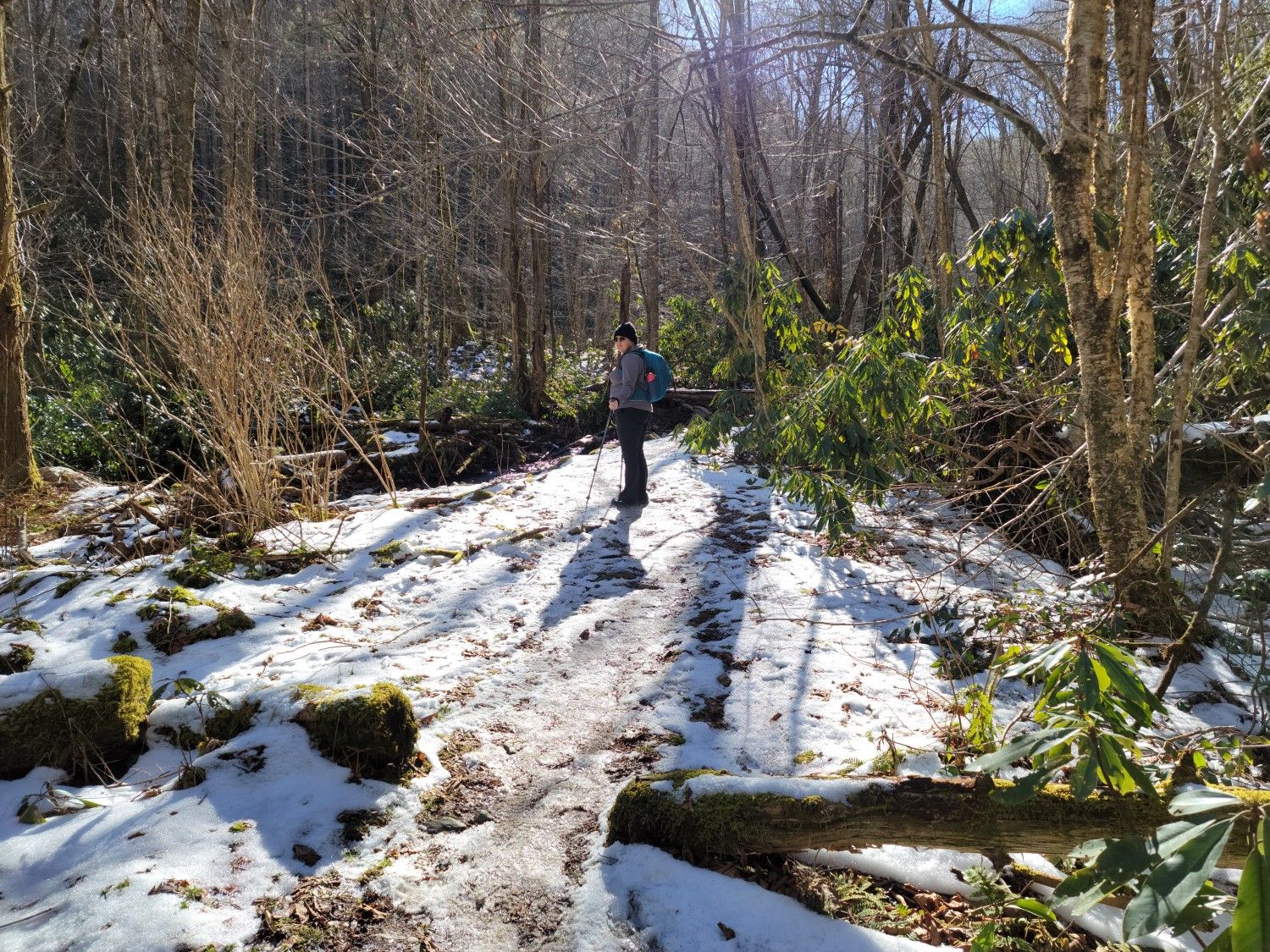 A hiker with poles stands on a sunlit, snowy forest path among bare trees. - Snakeden Ridge Loop