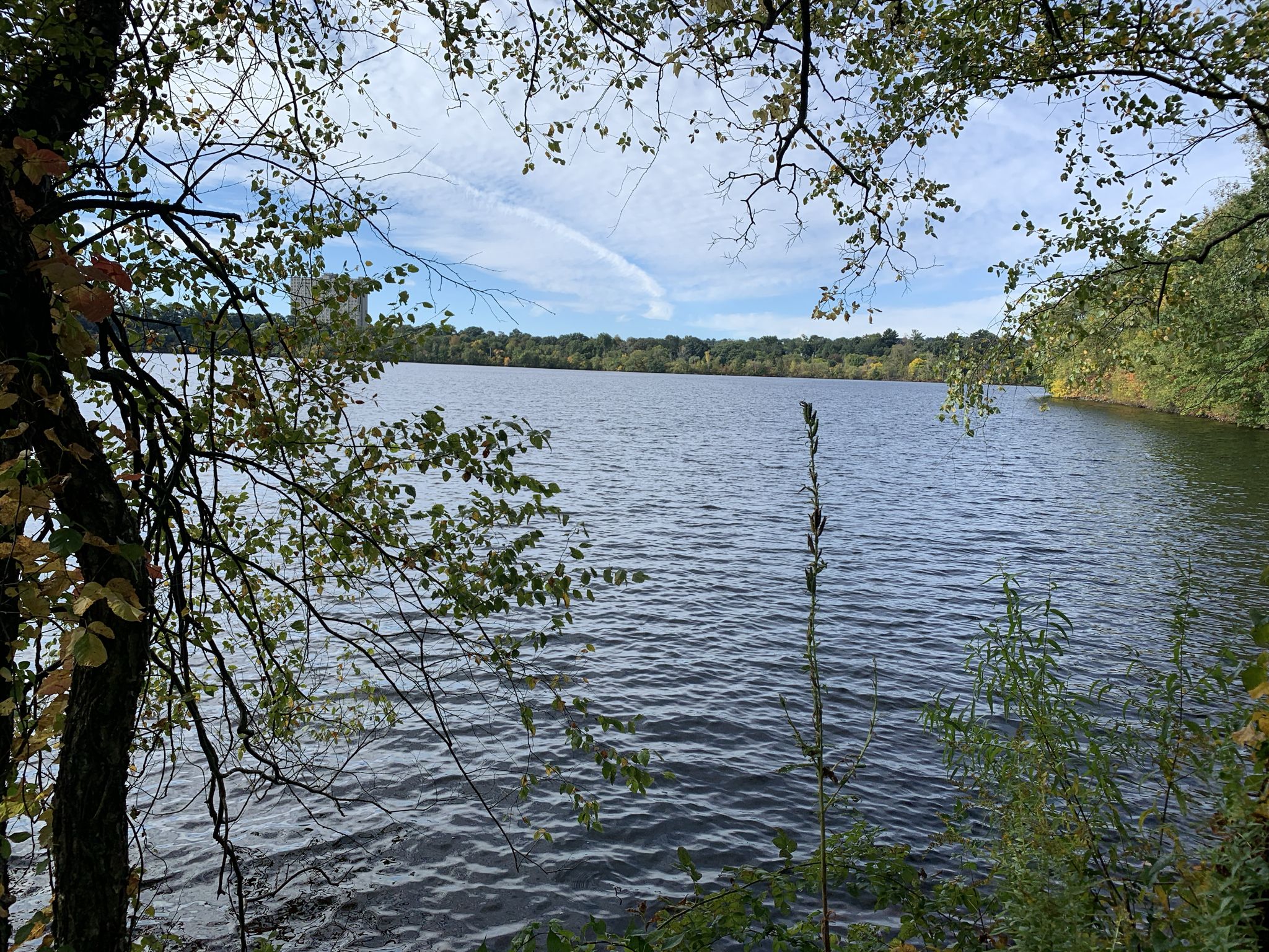 A calm lake surrounded by green and autumn trees under a cloudy sky. - Mass Central Rail Trail