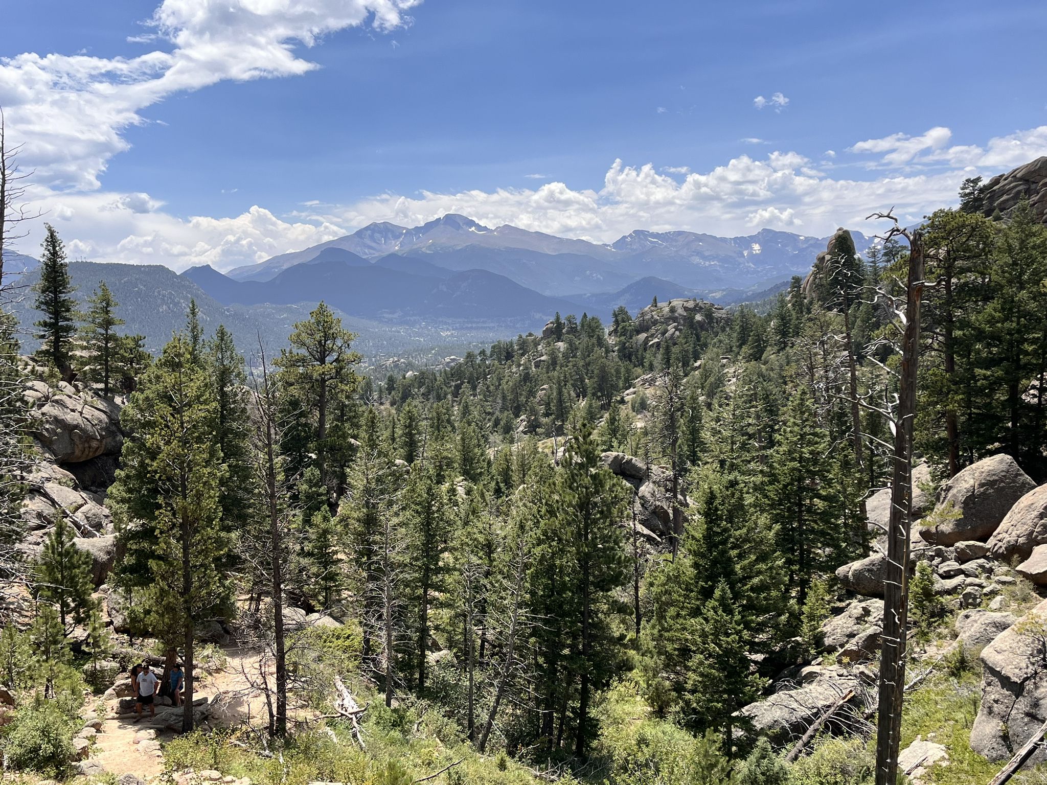 An expansive view of a pine forest valley with distant mountains under a blue sky. - Twin Owls Loop