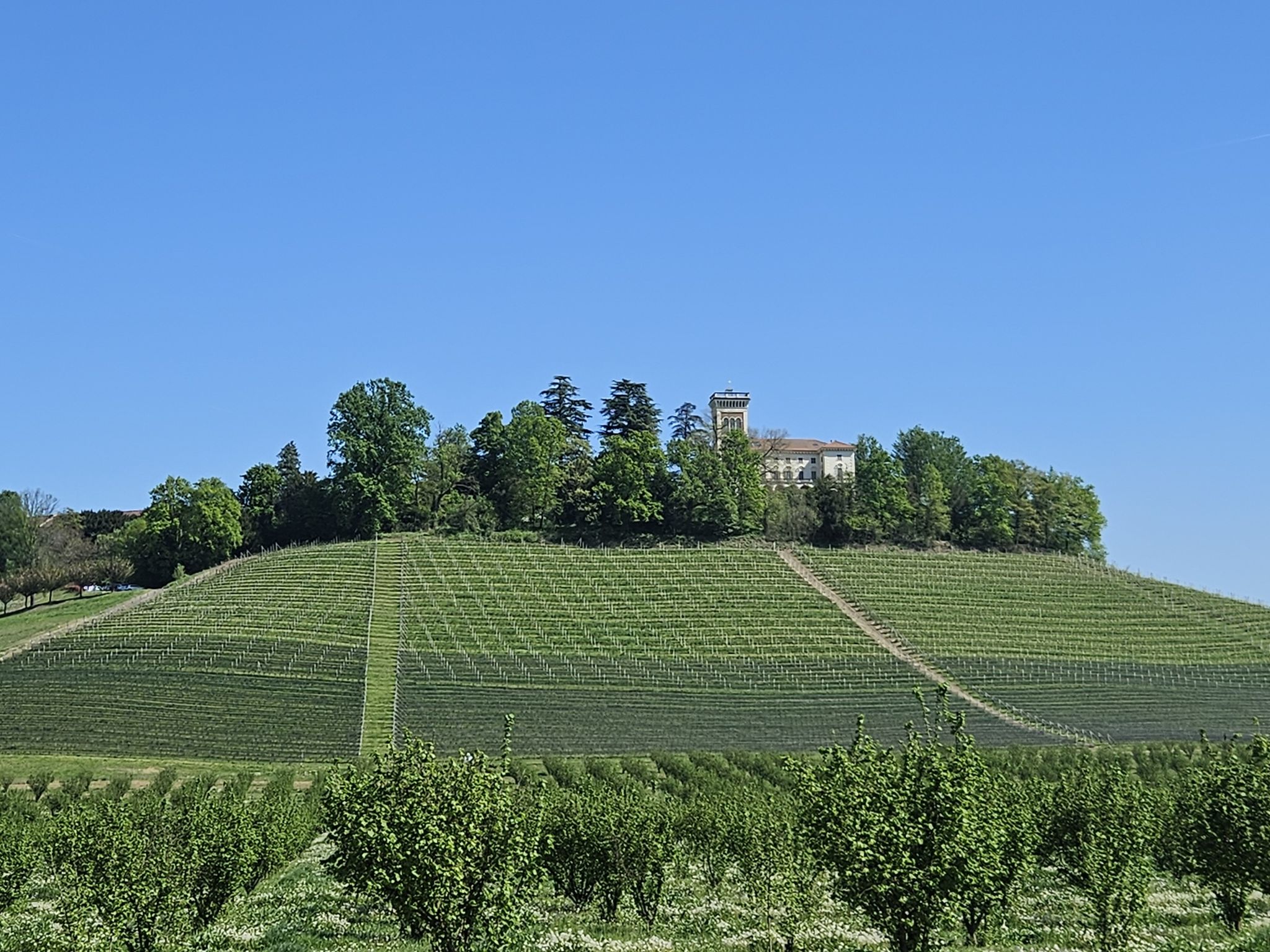Weingut Ceretto