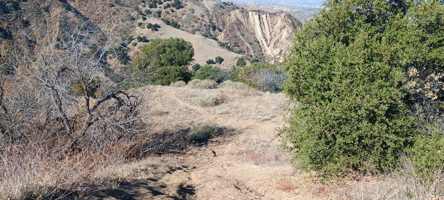 A dry, dusty trail through sparse brush and trees, with distant mountains. - East and Rice Canyon Loop
