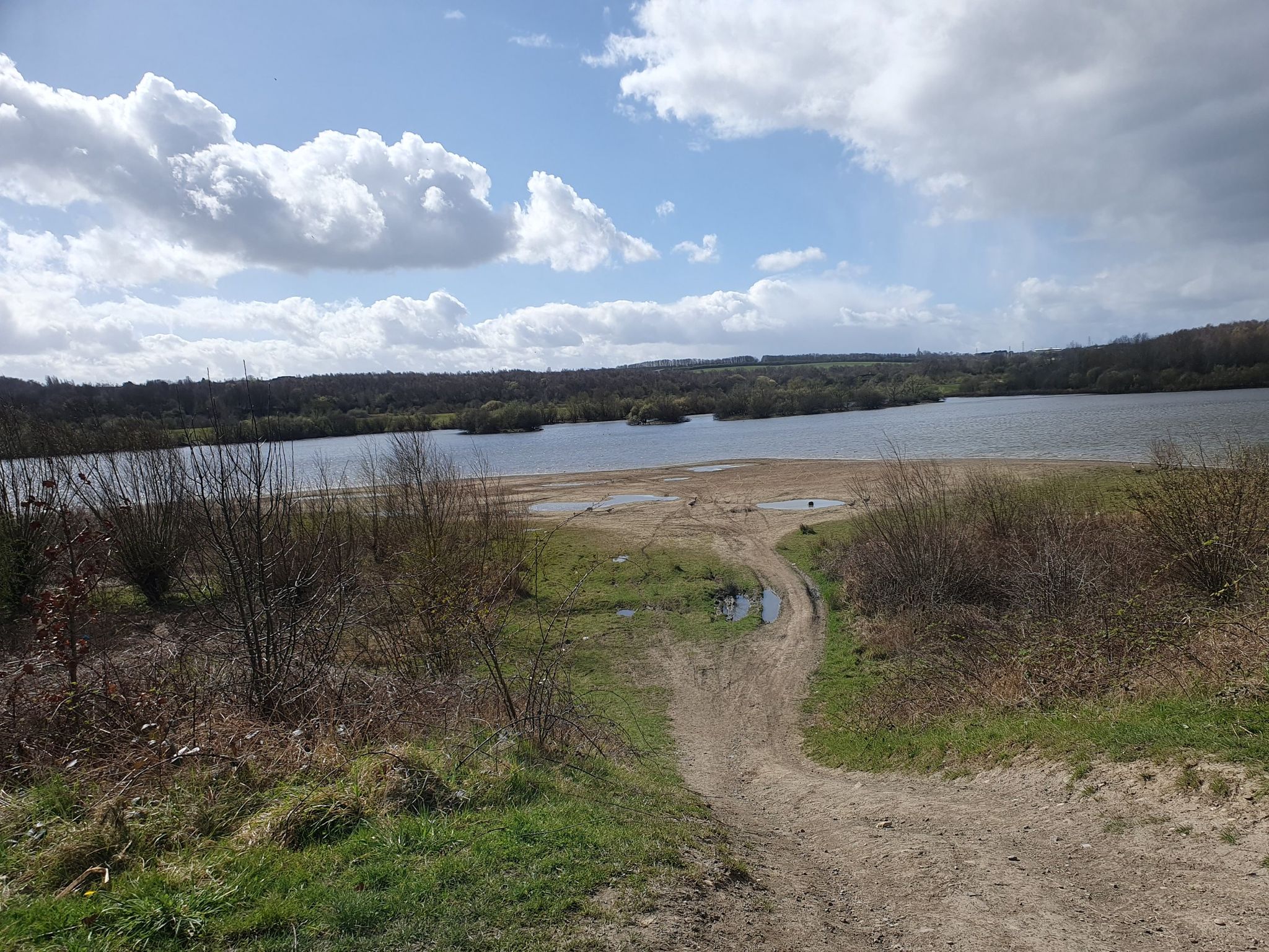 It can be muddy this side of the lake