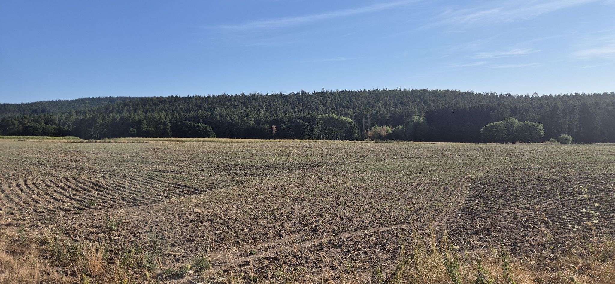 Feld und Wald