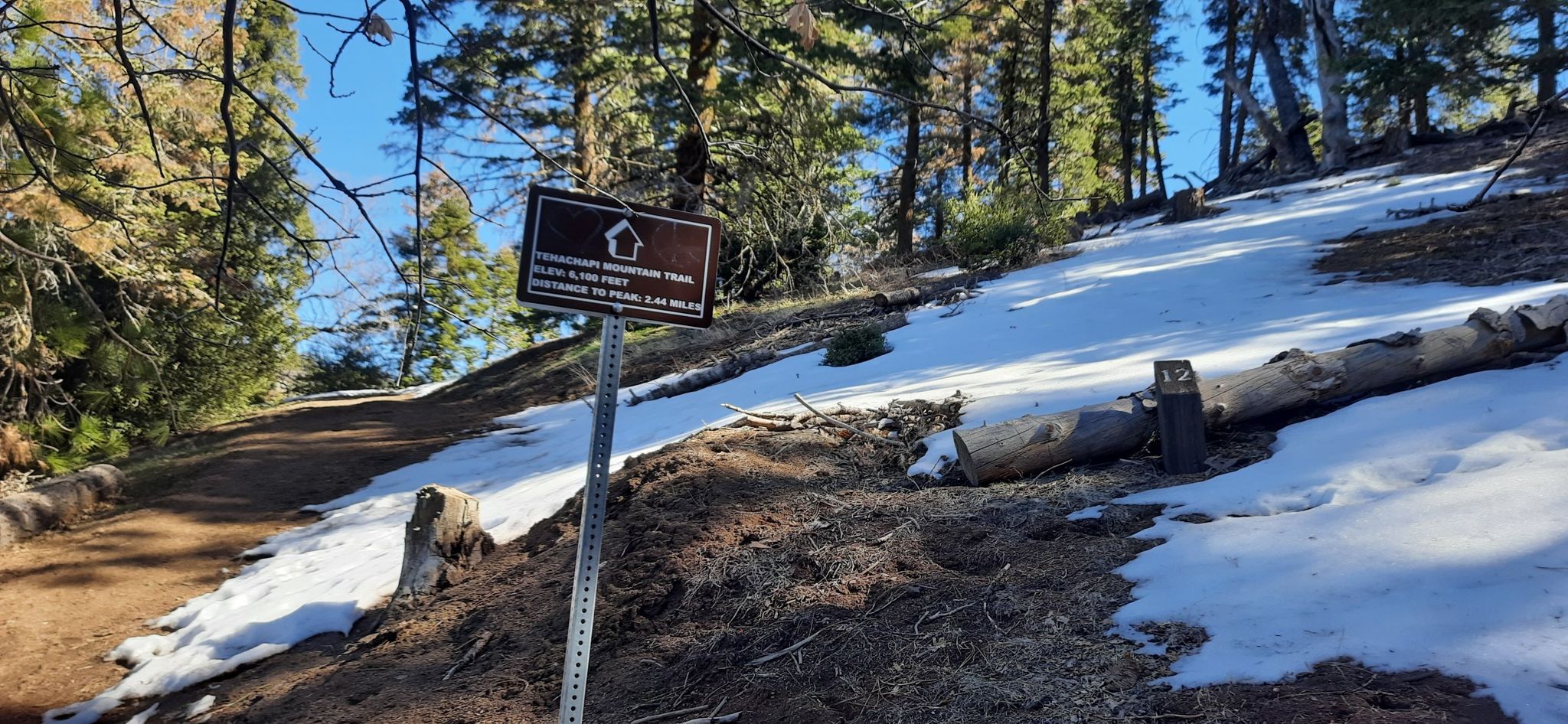 A trail sign stands beside a snowy dirt path winding through a sunny forest. - Tehachapi Mountain Trail