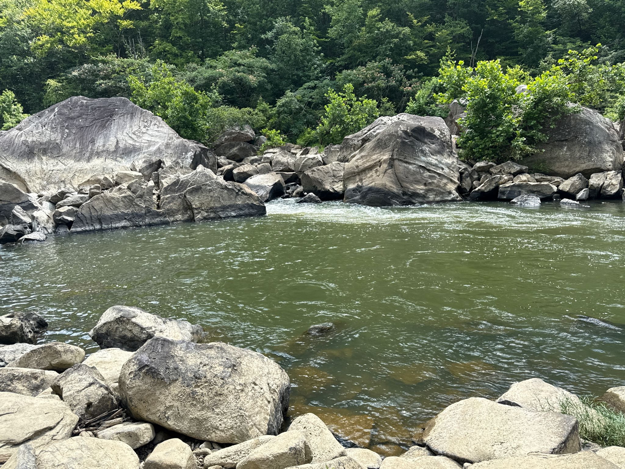 Close-up of a river with rapids, large rocks, and green trees. - Blue Heron Loop Trail