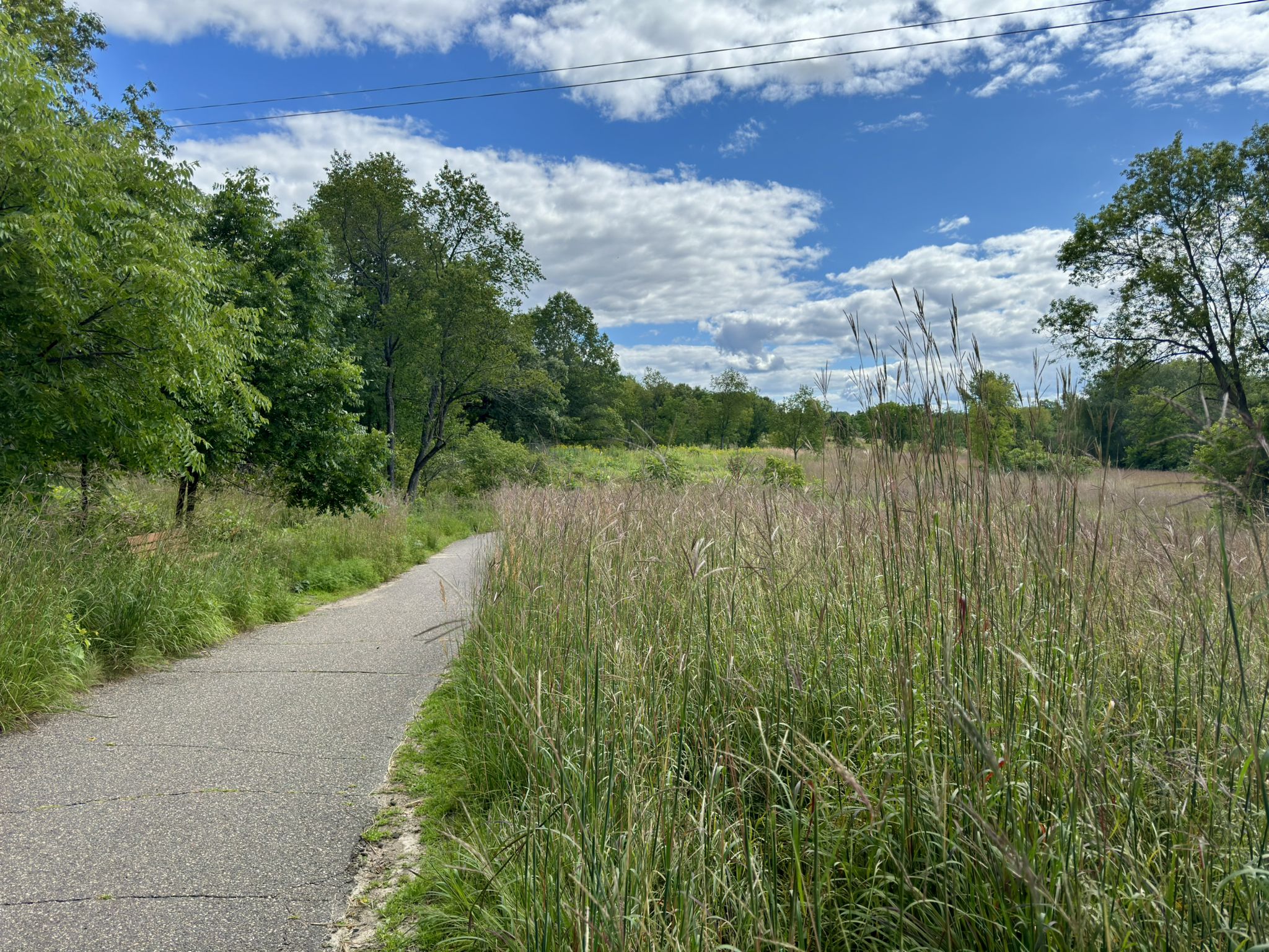 Paved path next to tall grass and trees under a partly cloudy sky. - Purgatory Park Trail loop from Westmill Rd
