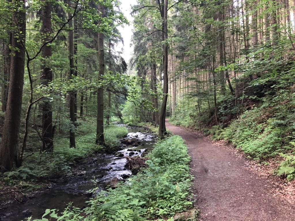 Am Kaltenbach