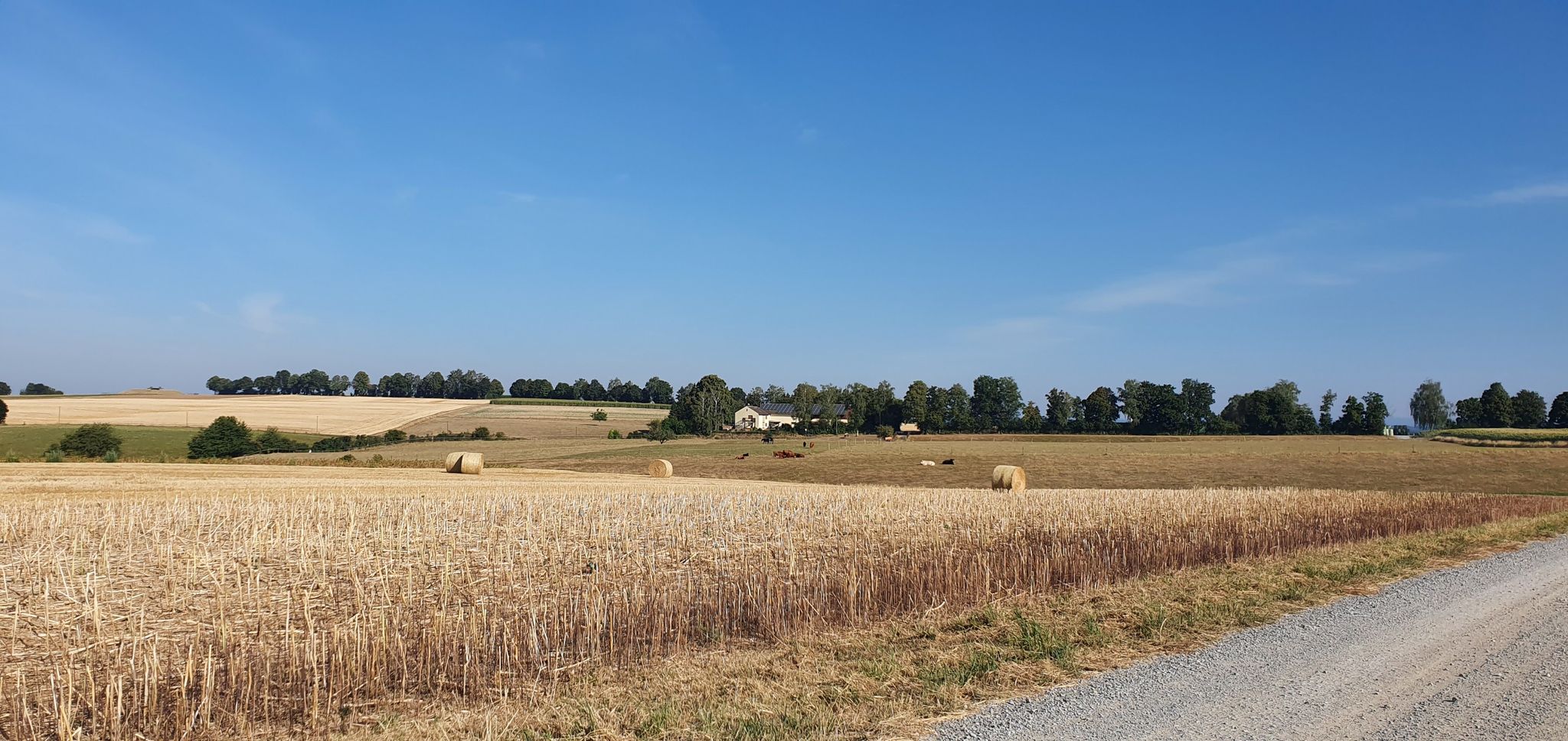 Morgenidylle