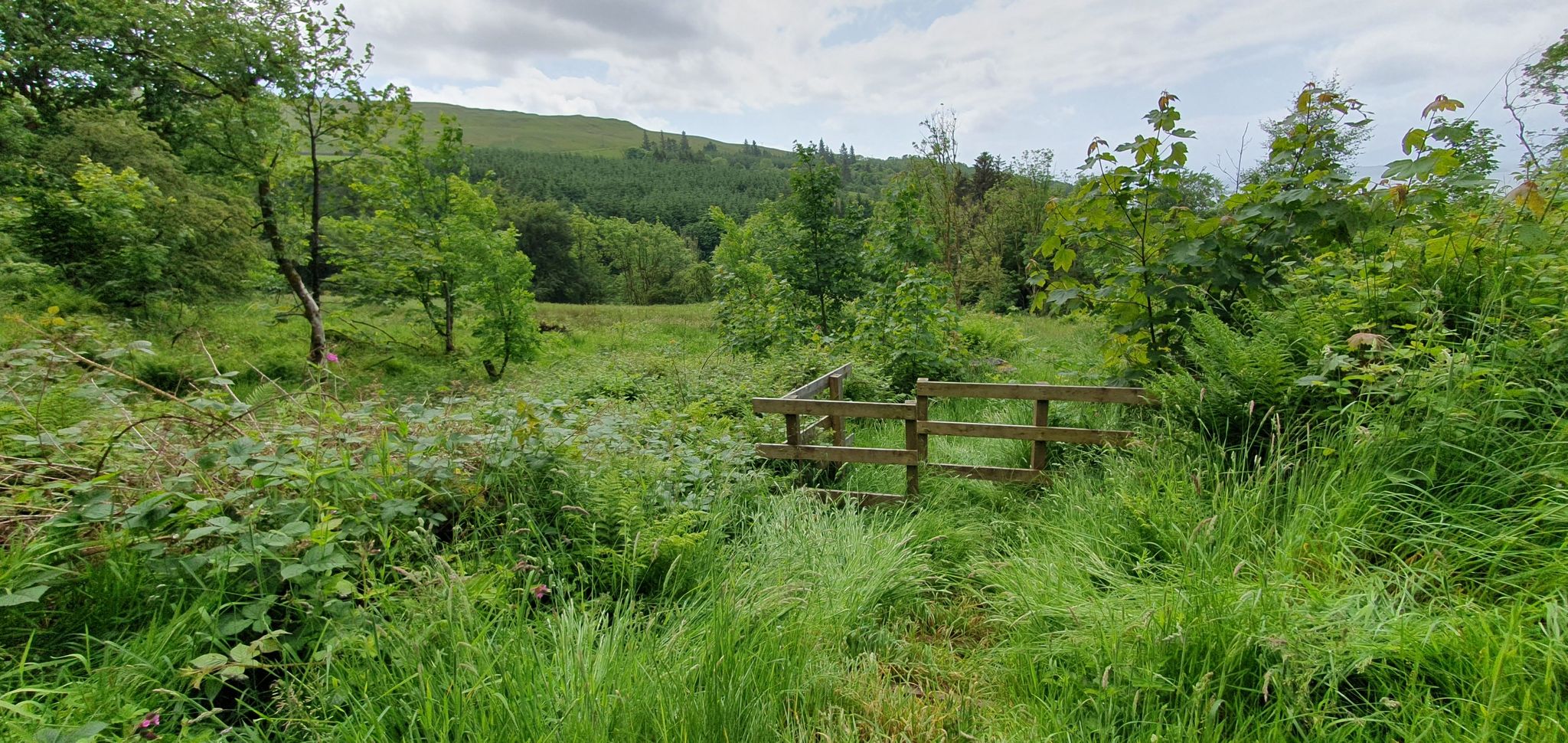 North glen path